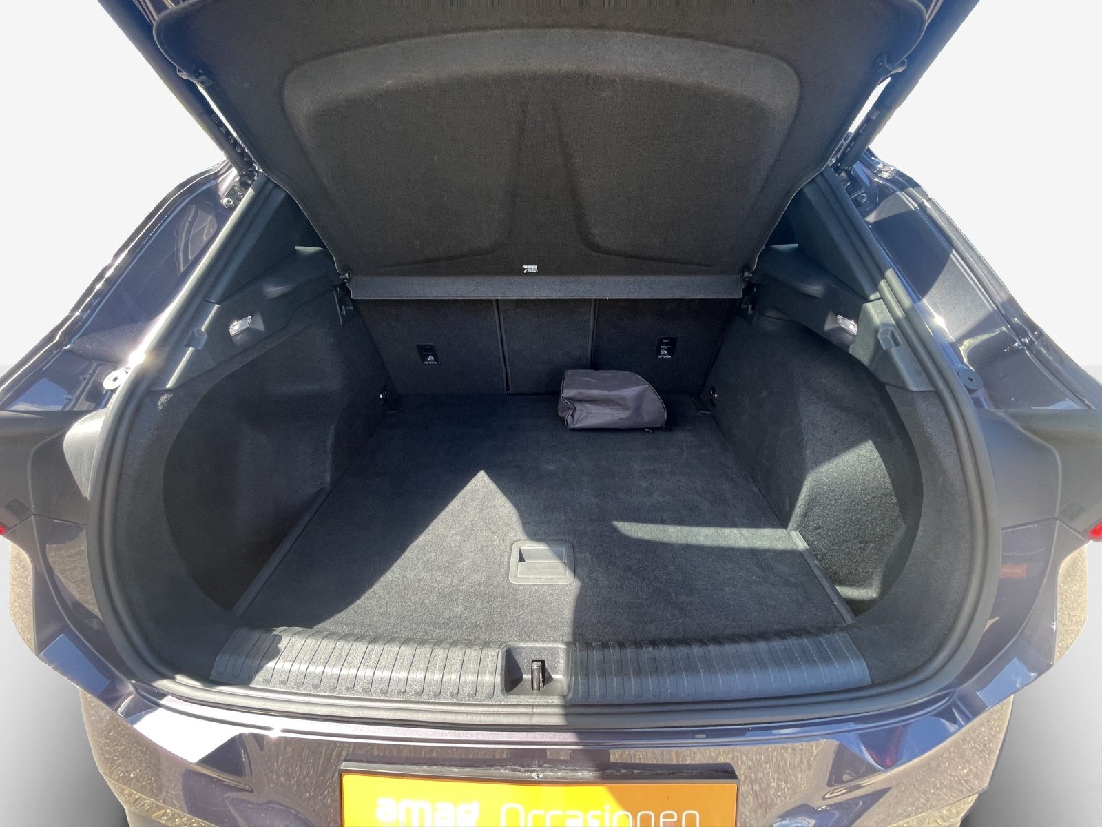 CUPRA TERRAMAR 4DRIVE, Benzina, Occasioni / Usate, Automatico - 6