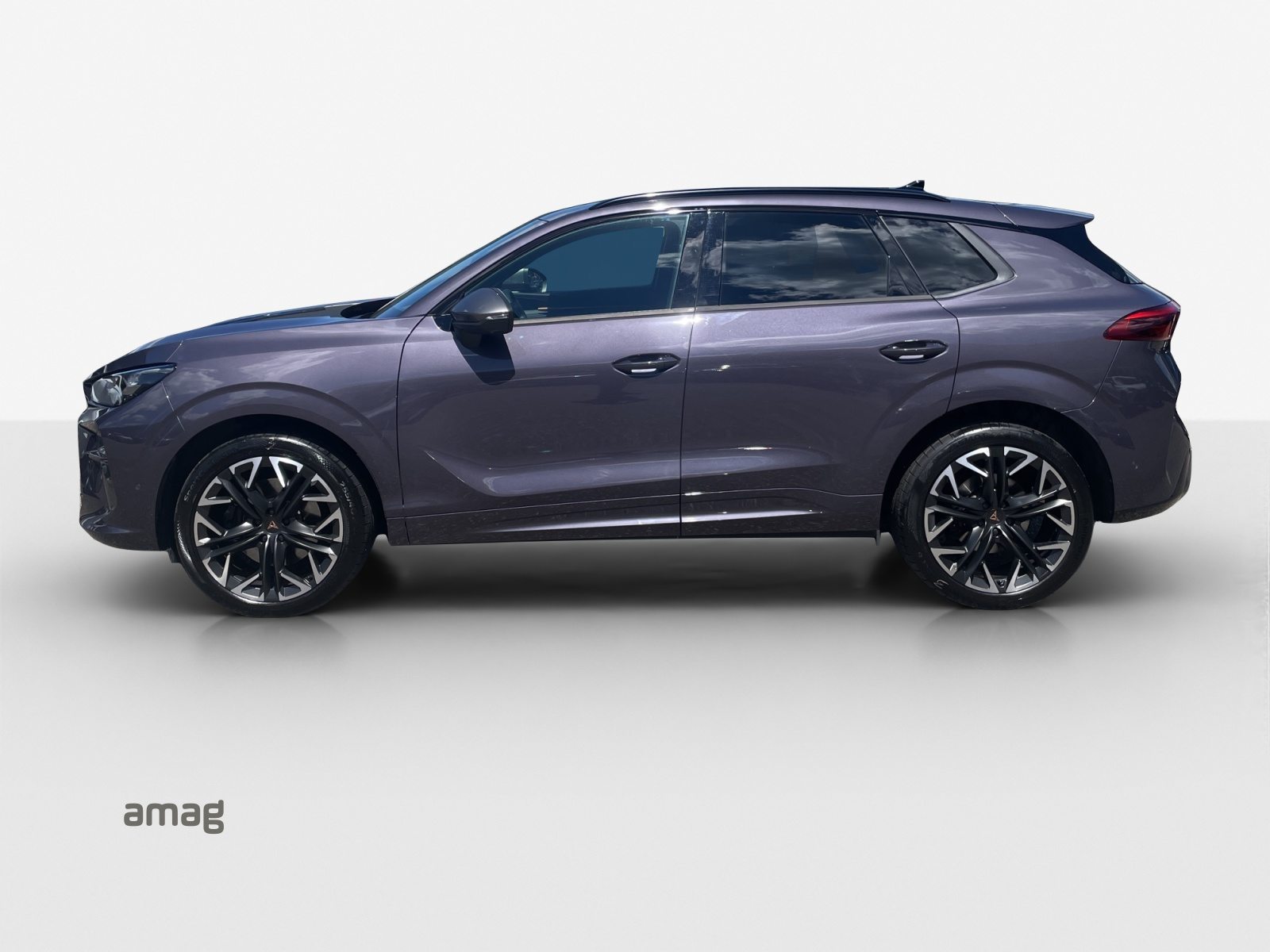 CUPRA TERRAMAR 4DRIVE, Benzina, Occasioni / Usate, Automatico - 2