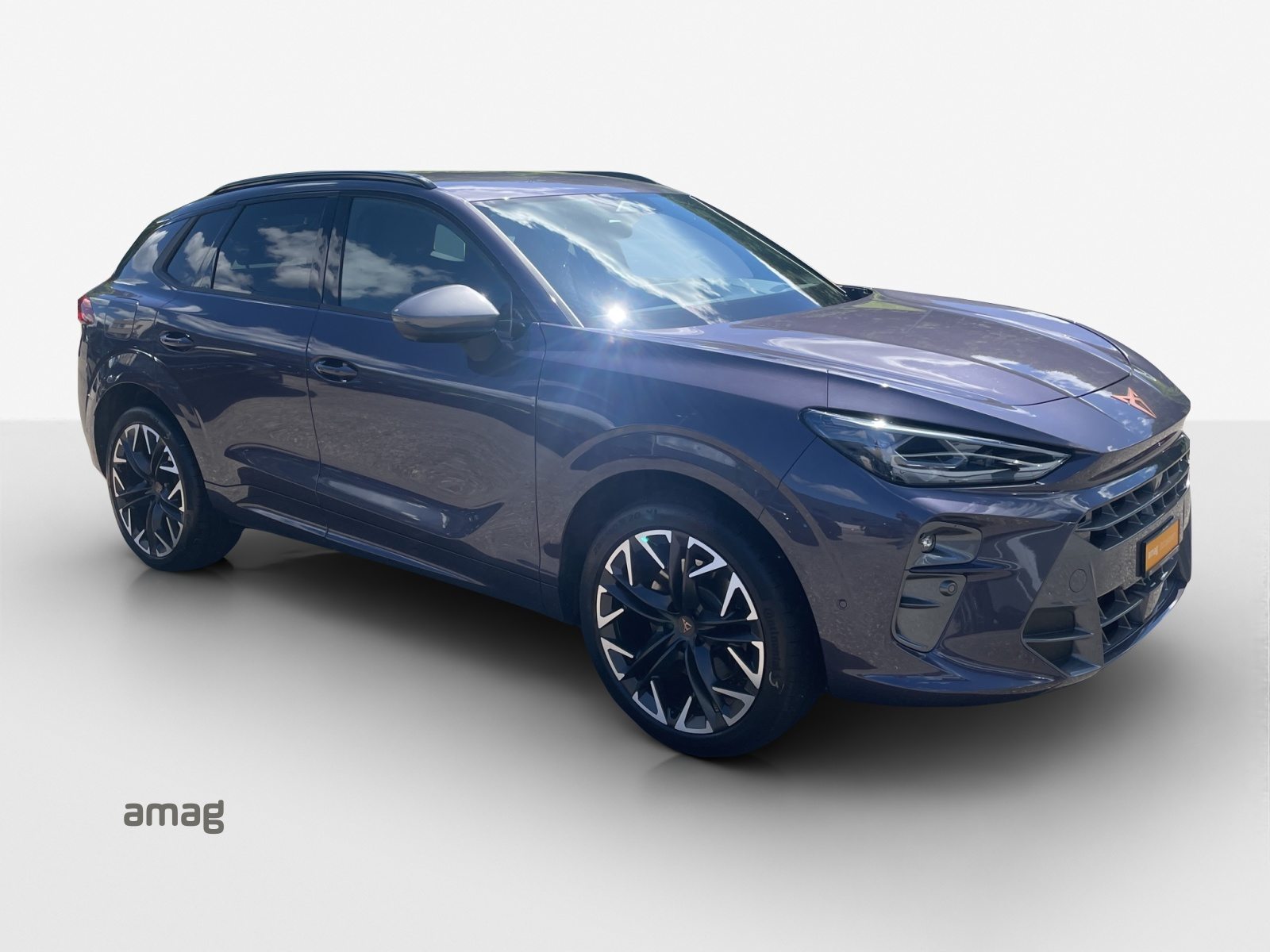 CUPRA TERRAMAR 4DRIVE, Benzina, Occasioni / Usate, Automatico - 6