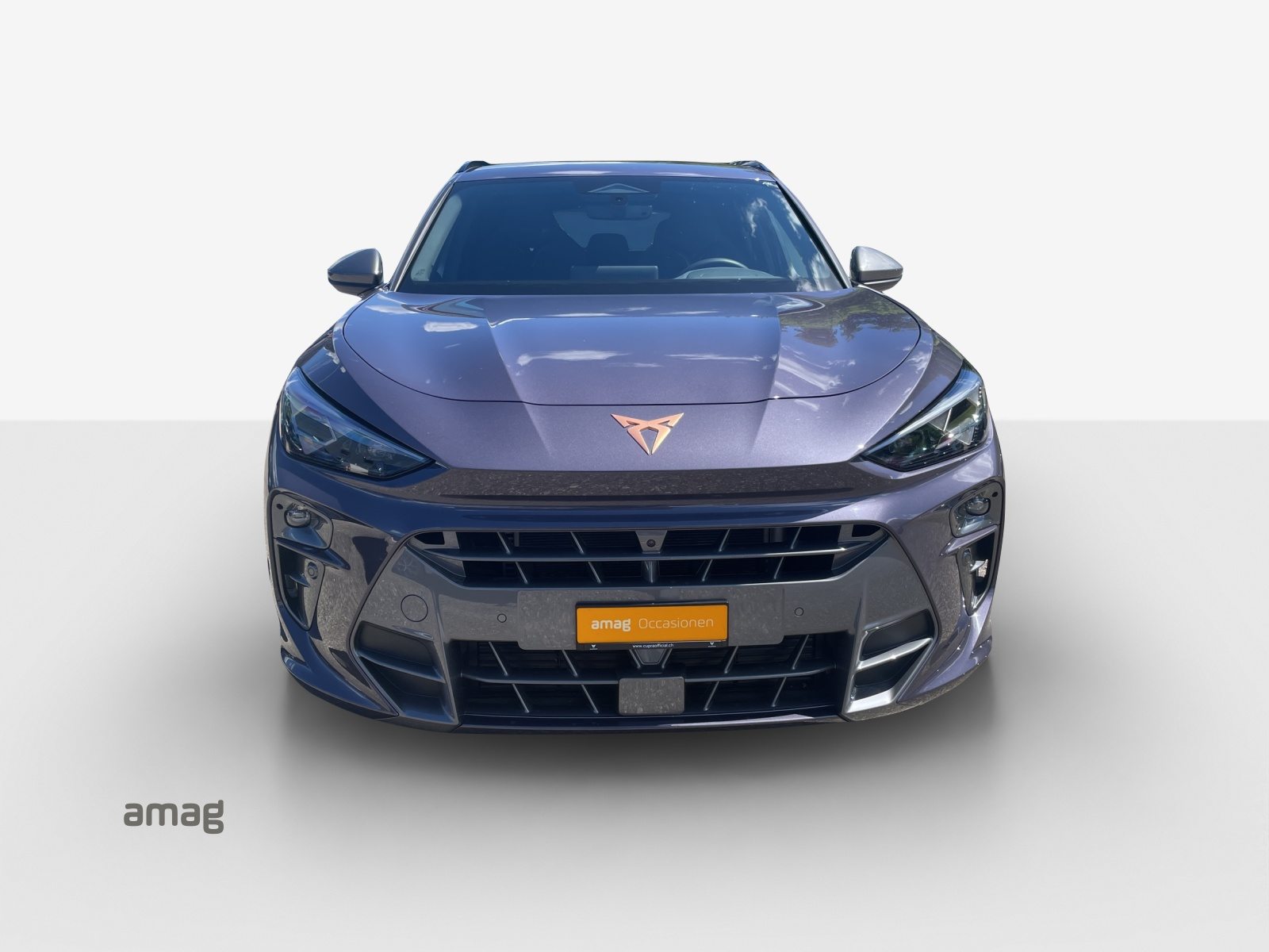CUPRA TERRAMAR 4DRIVE, Benzina, Occasioni / Usate, Automatico - 7