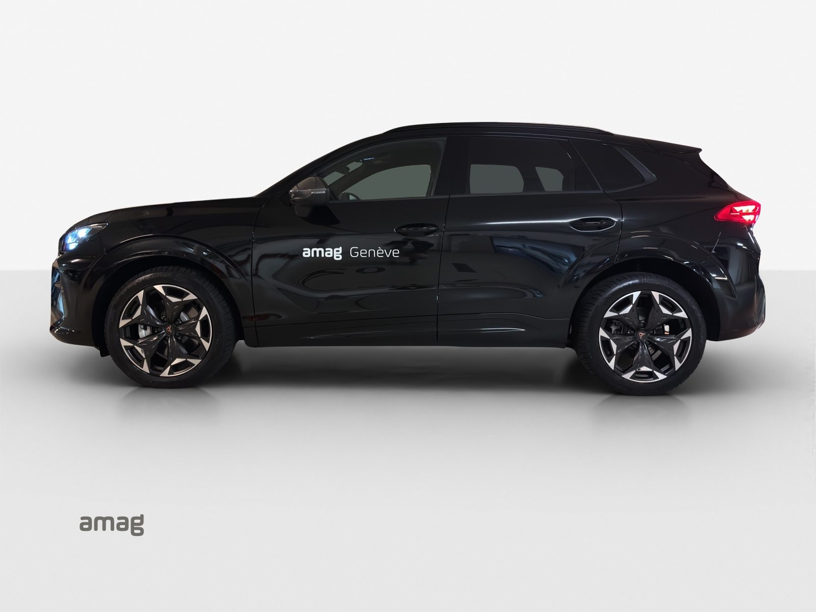CUPRA TERRAMAR 4DRIVE, Benzin, Occasion / Gebraucht, Automatik - 2