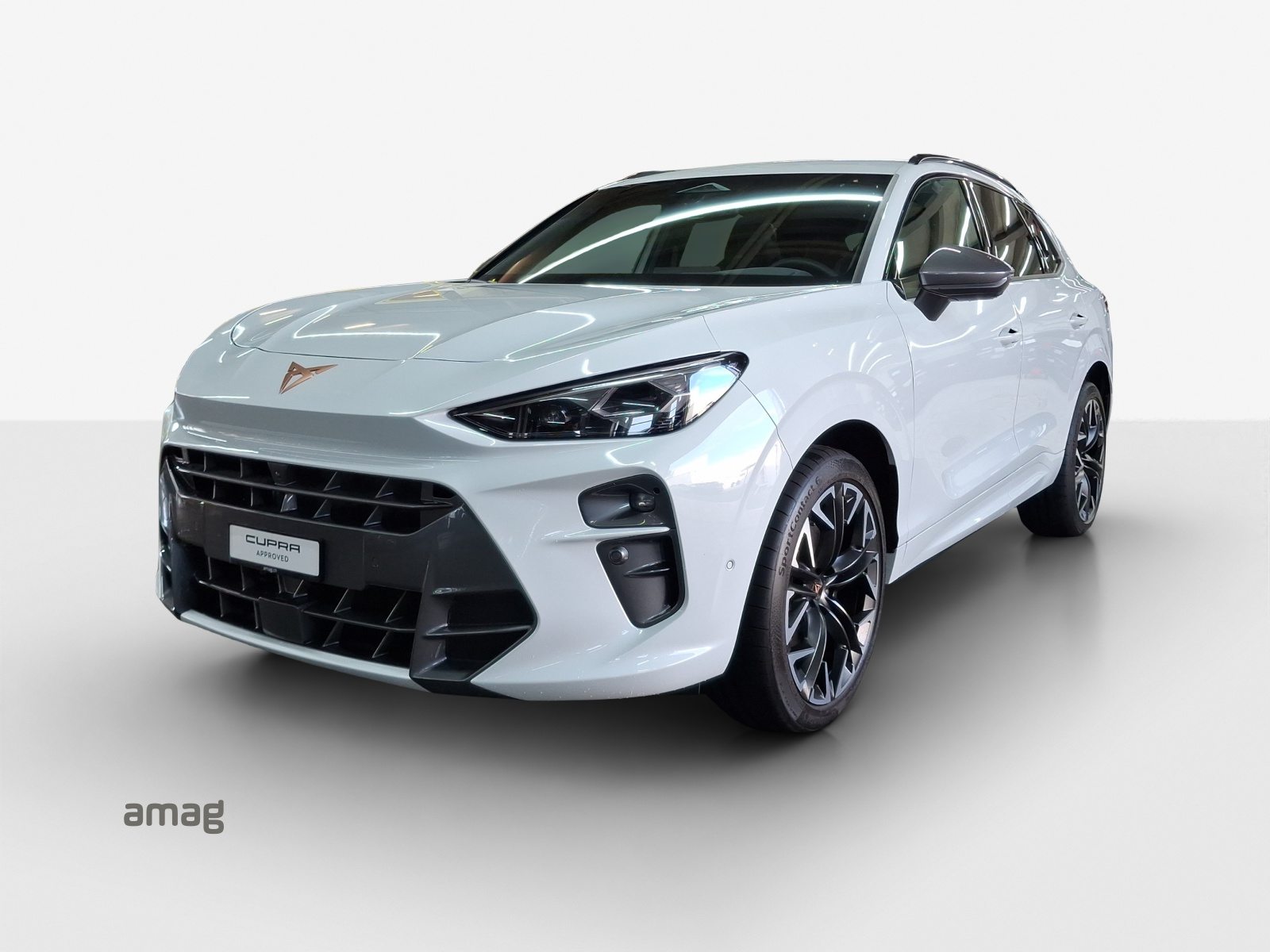 CUPRA TERRAMAR 4DRIVE