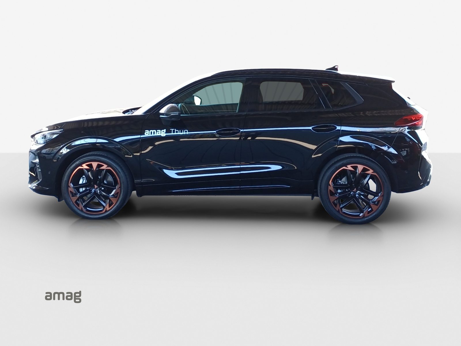 CUPRA TERRAMAR 4DRIVE PRIME EDITION, Benzina, Occasioni / Usate, Automatico - 2