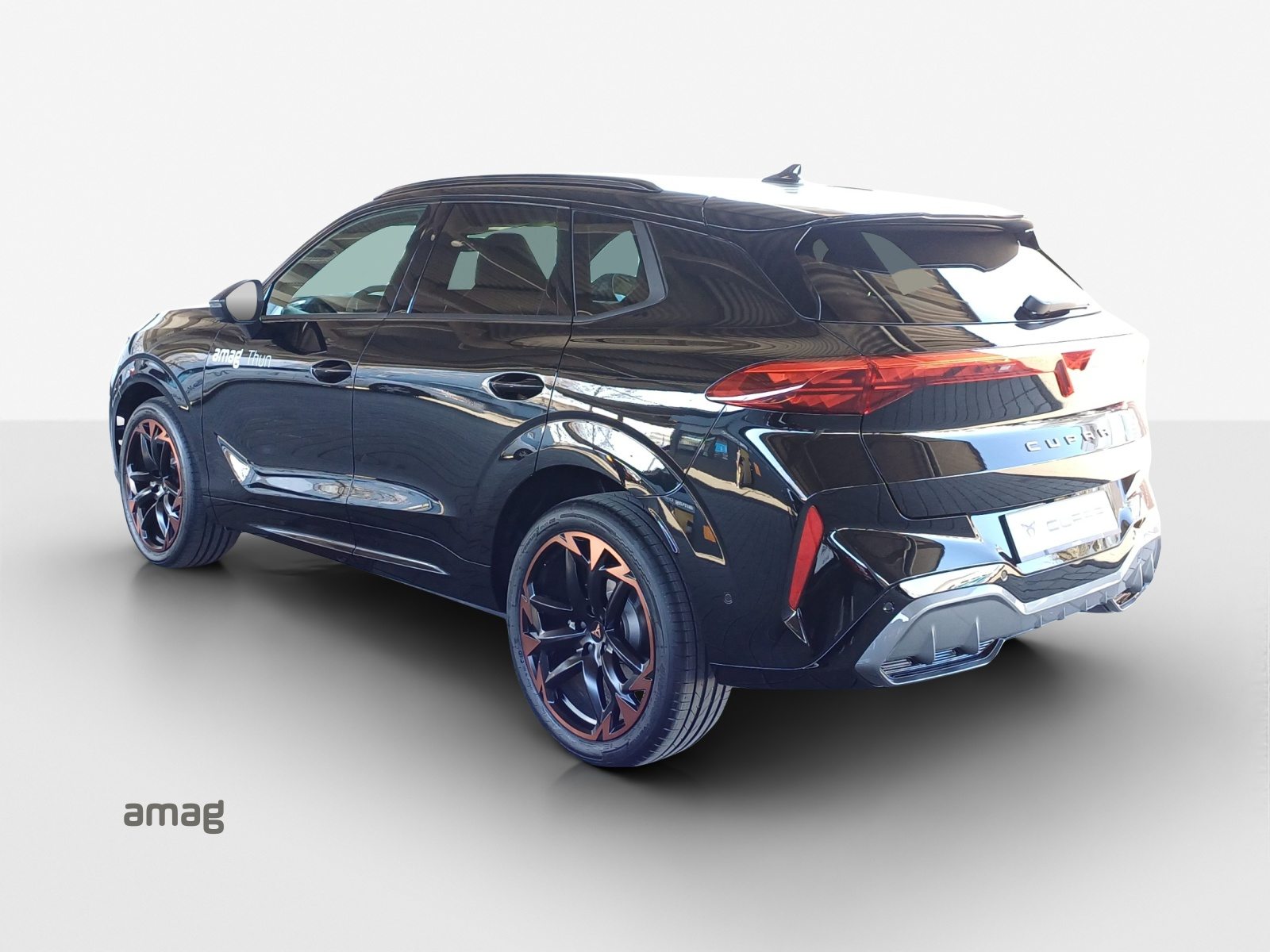 CUPRA TERRAMAR 4DRIVE PRIME EDITION, Benzina, Occasioni / Usate, Automatico - 3