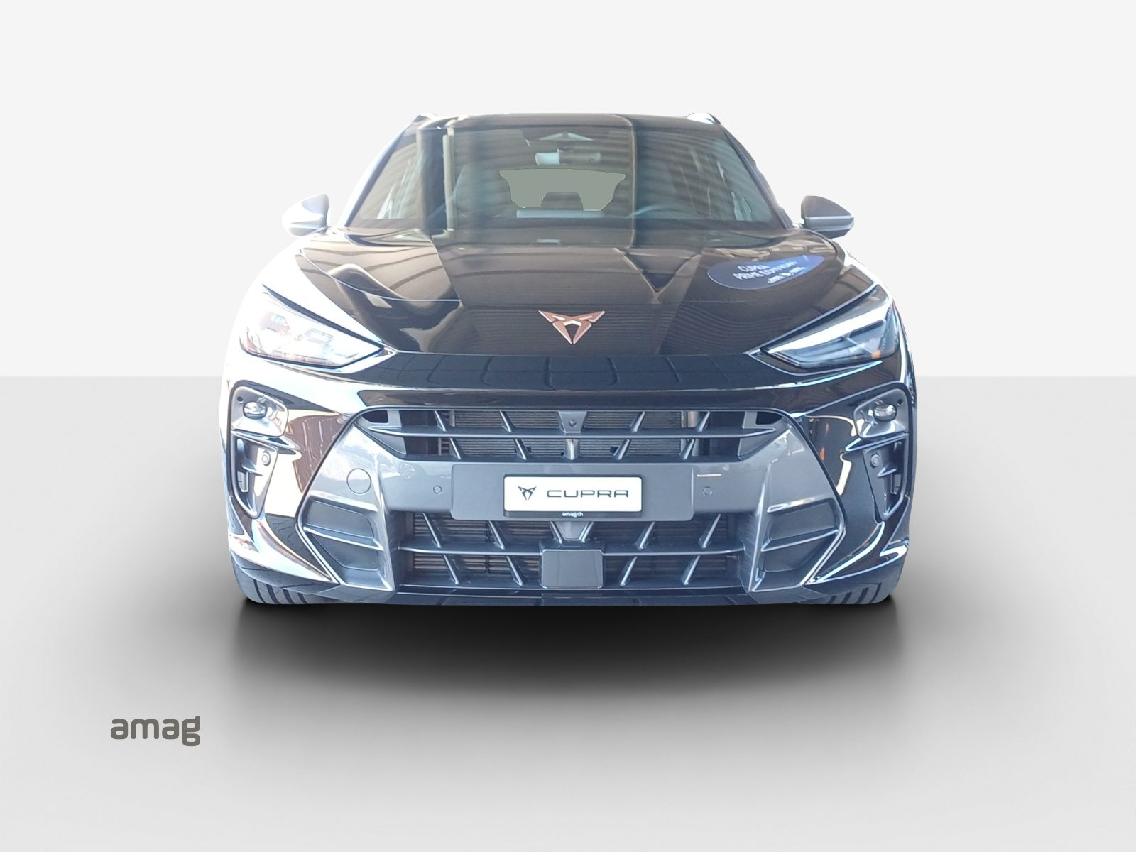 CUPRA TERRAMAR 4DRIVE PRIME EDITION, Benzina, Occasioni / Usate, Automatico - 7