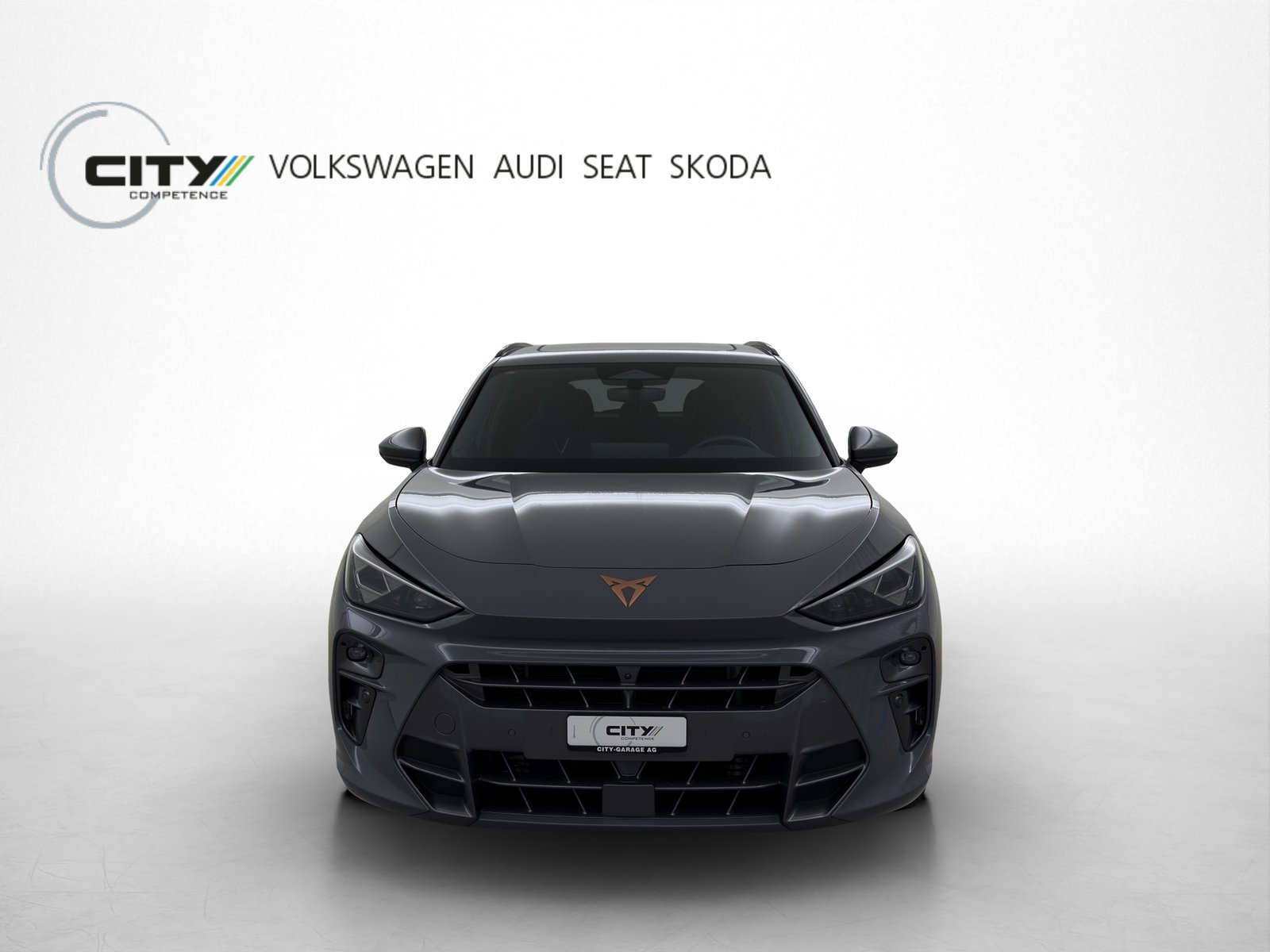 CUPRA Terramar 2.0 TSI VZ 4Drive DSG, Benzin, Occasion / Gebraucht, Automatik - 4