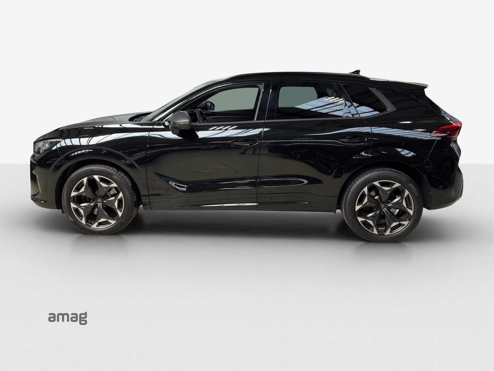 CUPRA TERRAMAR 4DRIVE, Benzina, Occasioni / Usate, Automatico - 2
