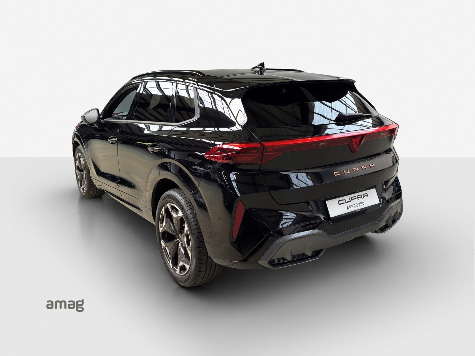 CUPRA TERRAMAR 4DRIVE, Benzina, Occasioni / Usate, Automatico - 3
