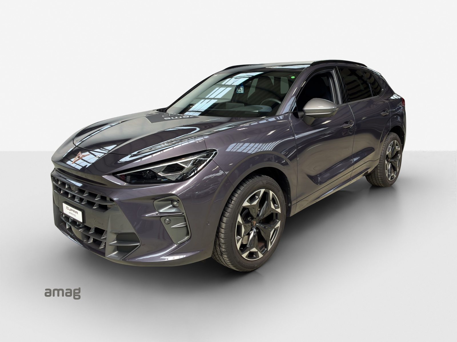 CUPRA TERRAMAR 4DRIVE