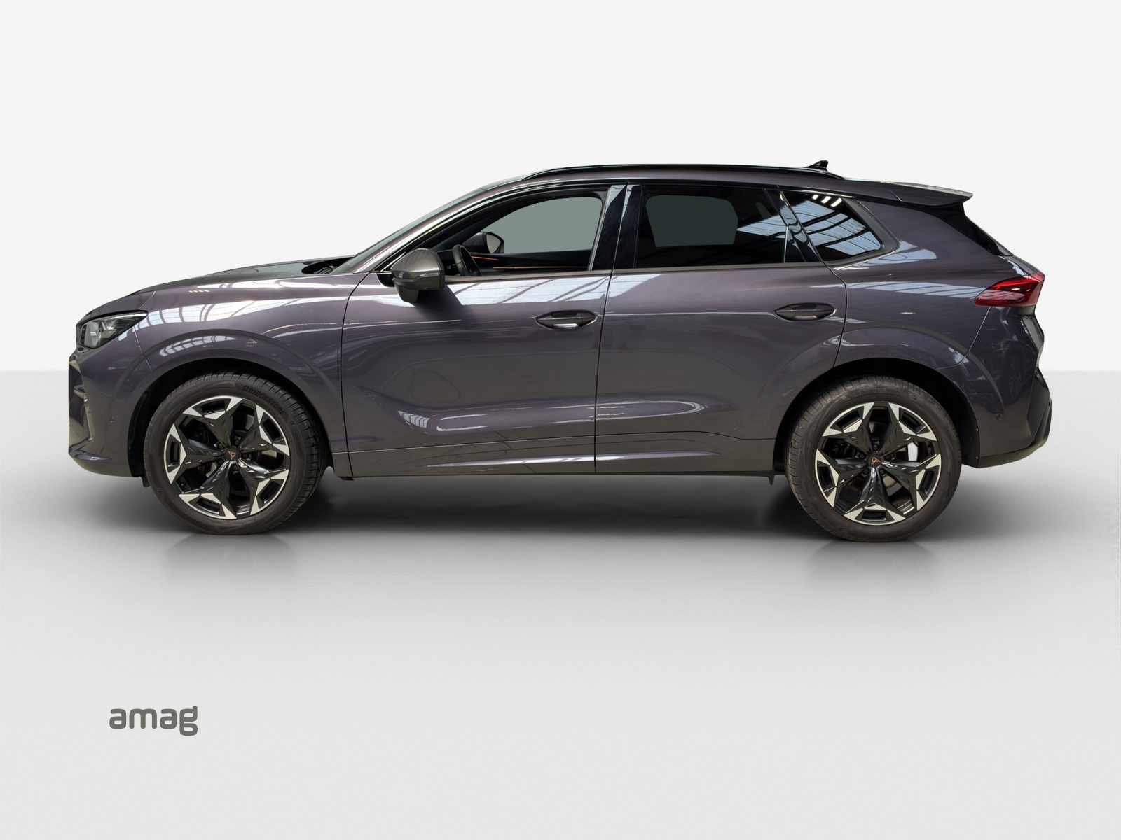 CUPRA TERRAMAR 4DRIVE, Benzin, Occasion / Gebraucht, Automatik - 2