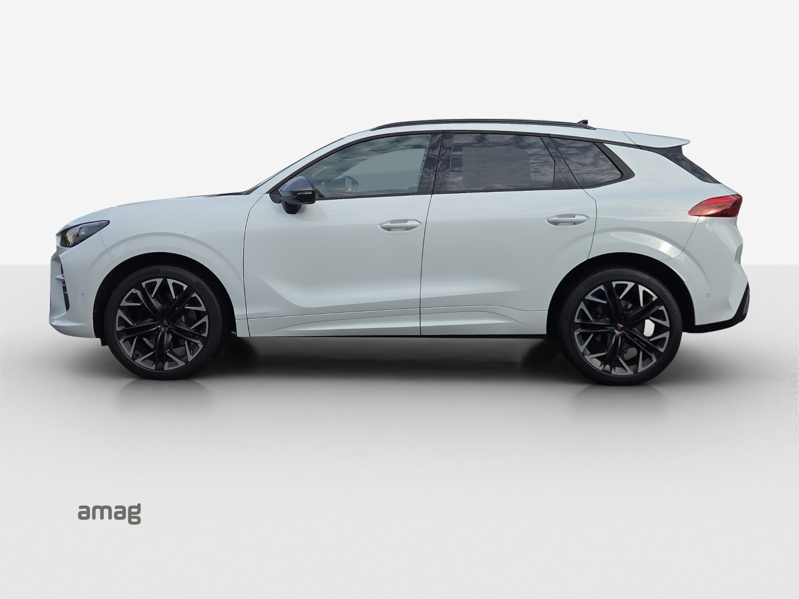 CUPRA TERRAMAR 4DRIVE, Benzina, Occasioni / Usate, Automatico - 2