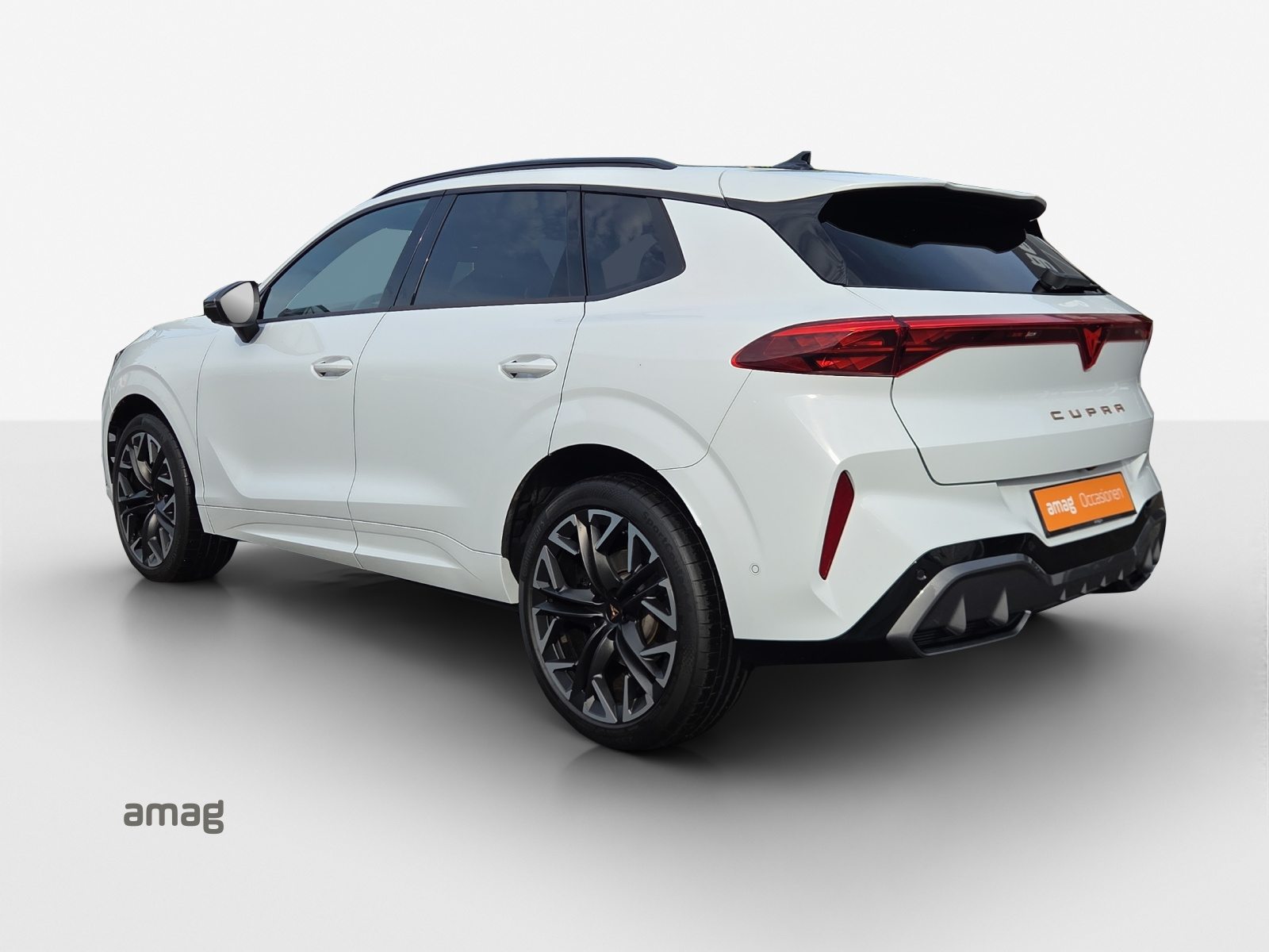 CUPRA TERRAMAR 4DRIVE, Benzina, Occasioni / Usate, Automatico - 3