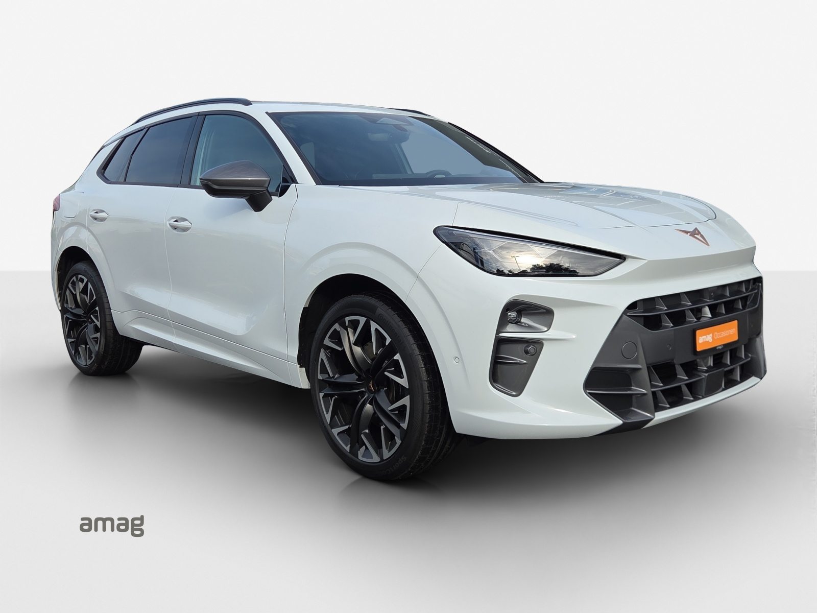 CUPRA TERRAMAR 4DRIVE, Benzina, Occasioni / Usate, Automatico - 6