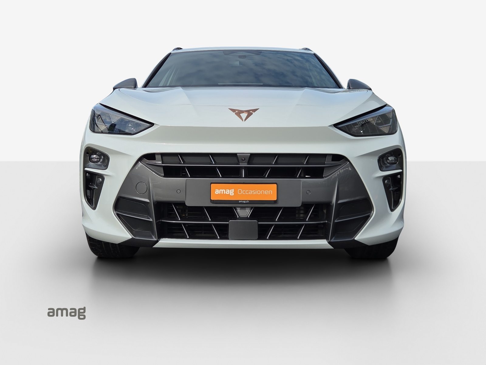 CUPRA TERRAMAR 4DRIVE, Benzina, Occasioni / Usate, Automatico - 7