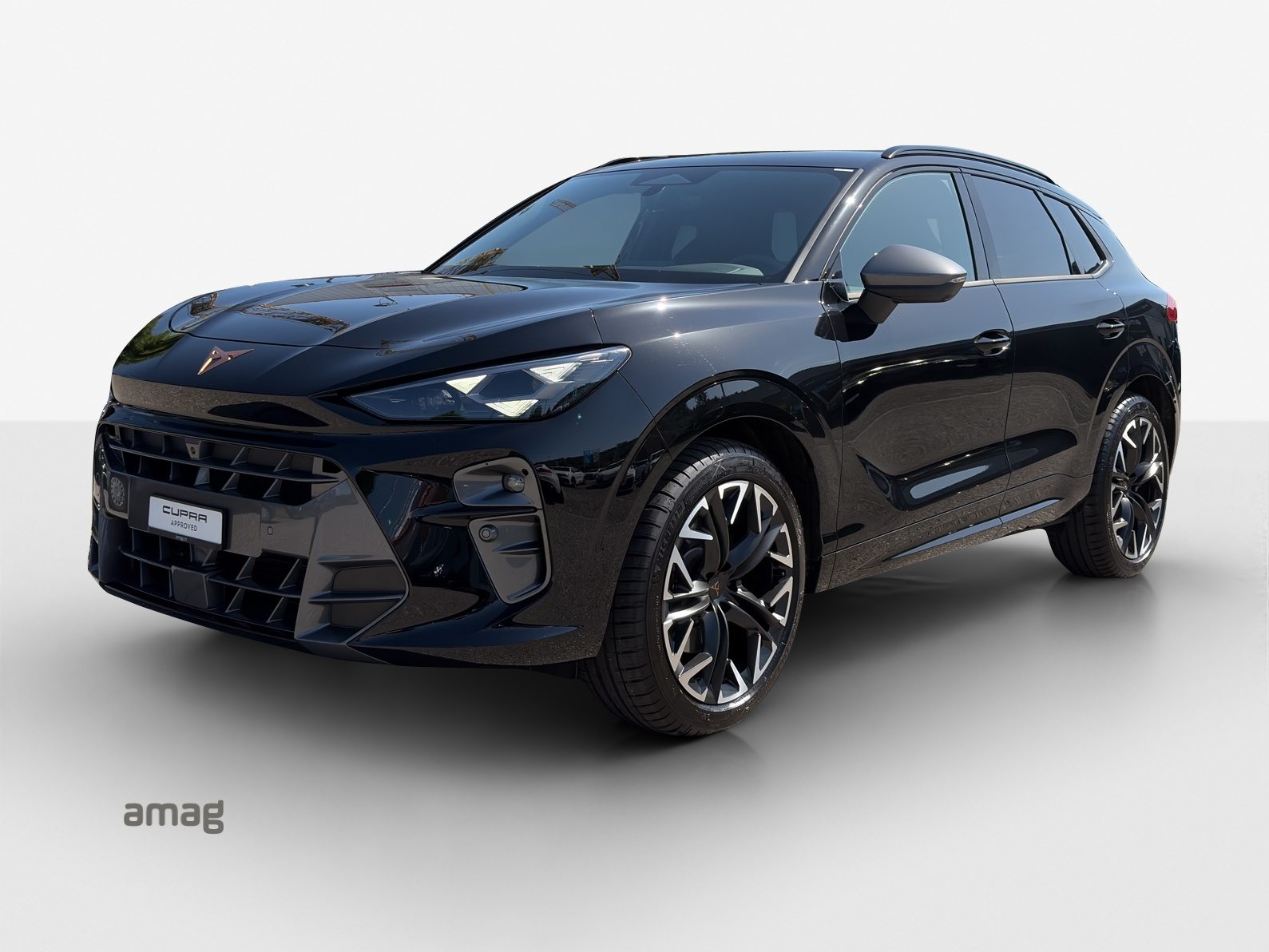 CUPRA TERRAMAR 4DRIVE