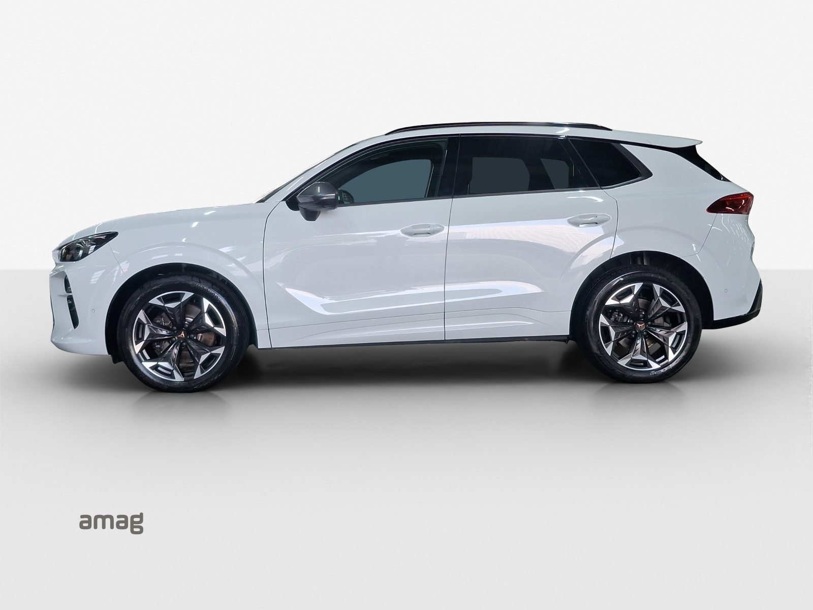 CUPRA TERRAMAR 4DRIVE, Benzin, Occasion / Gebraucht, Automatik - 2