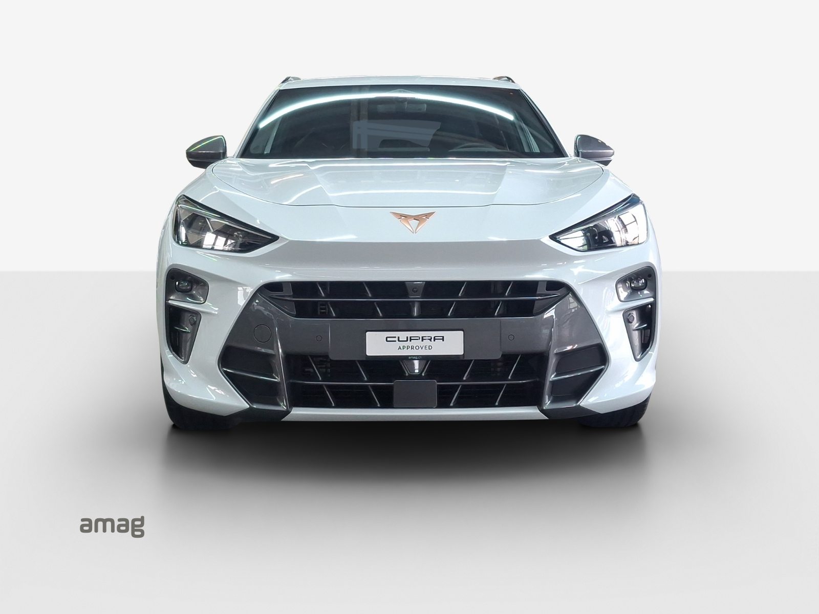CUPRA TERRAMAR 4DRIVE, Benzin, Occasion / Gebraucht, Automatik - 6