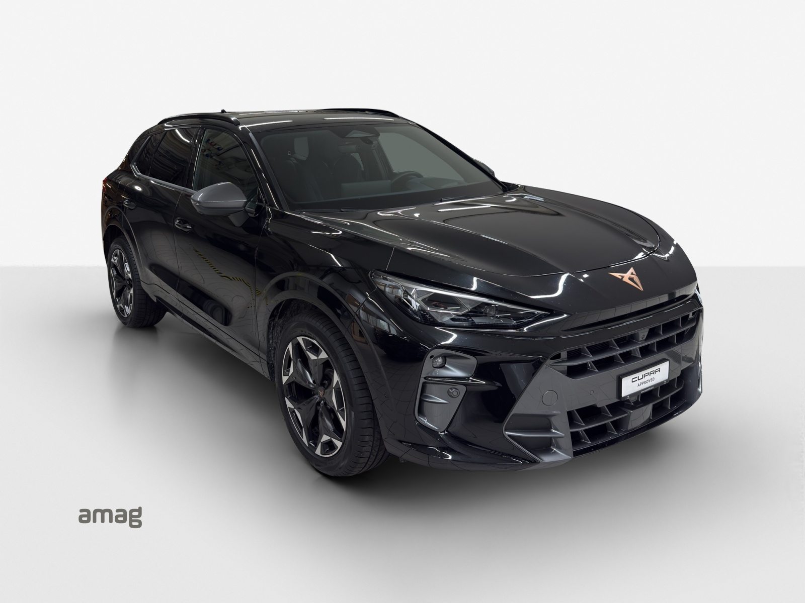 CUPRA TERRAMAR e-HYBRID, Voll-Hybrid Benzin/Elektro, Occasion / Gebraucht, Automatik - 6