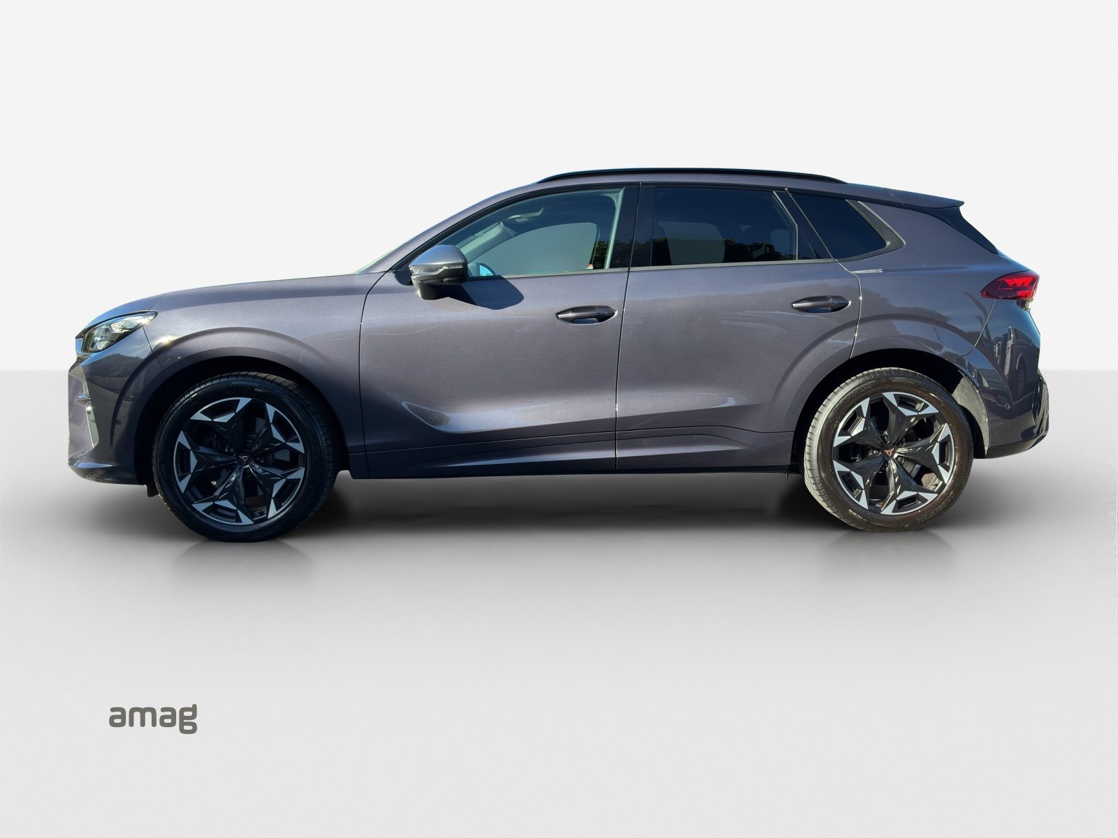 CUPRA TERRAMAR 4DRIVE, Benzin, Occasion / Gebraucht, Automatik - 2