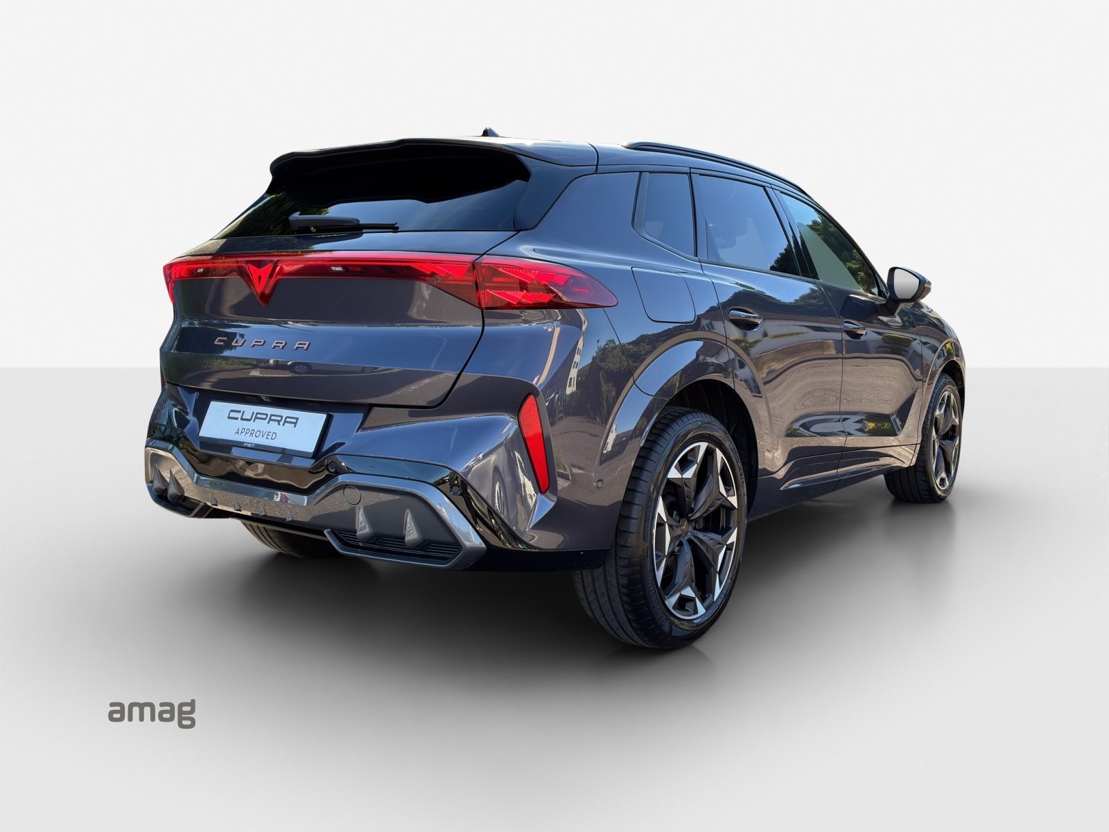 CUPRA TERRAMAR 4DRIVE, Benzin, Occasion / Gebraucht, Automatik - 5