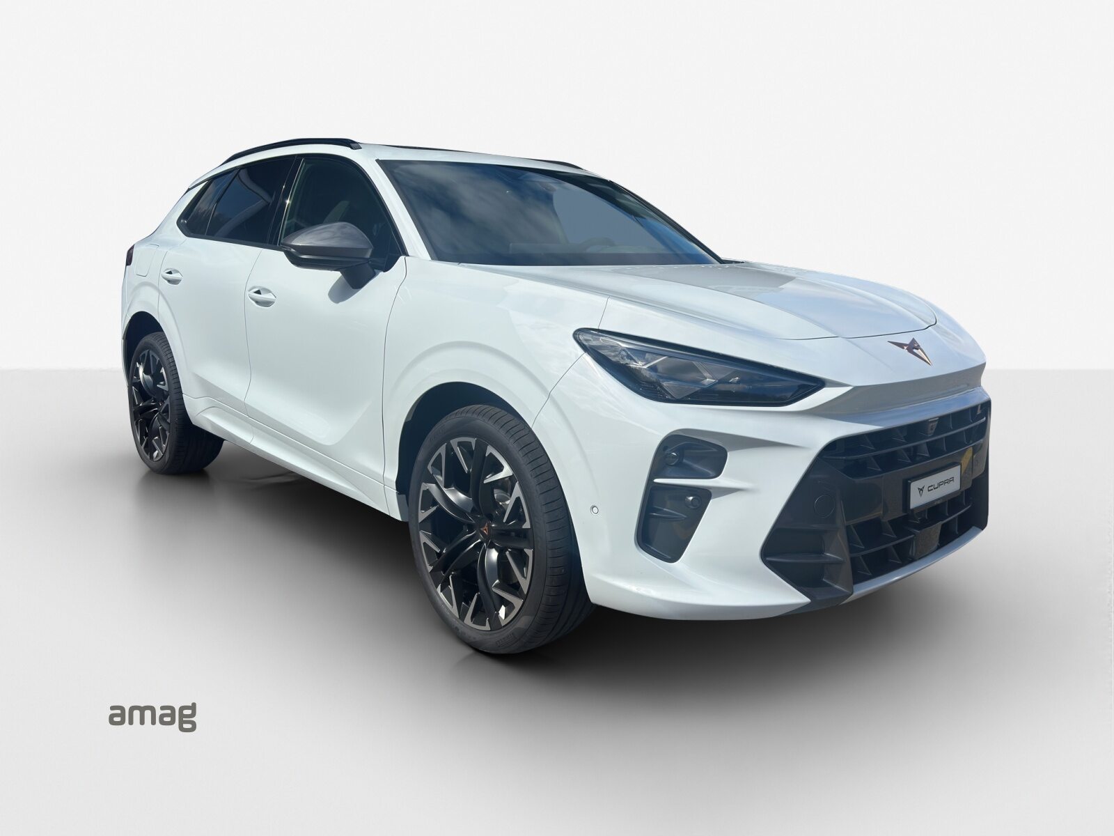 CUPRA TERRAMAR VZ e-HYBRID PRIME EDITION, Voll-Hybrid Benzin/Elektro, Occasion / Gebraucht, Automatik - 6