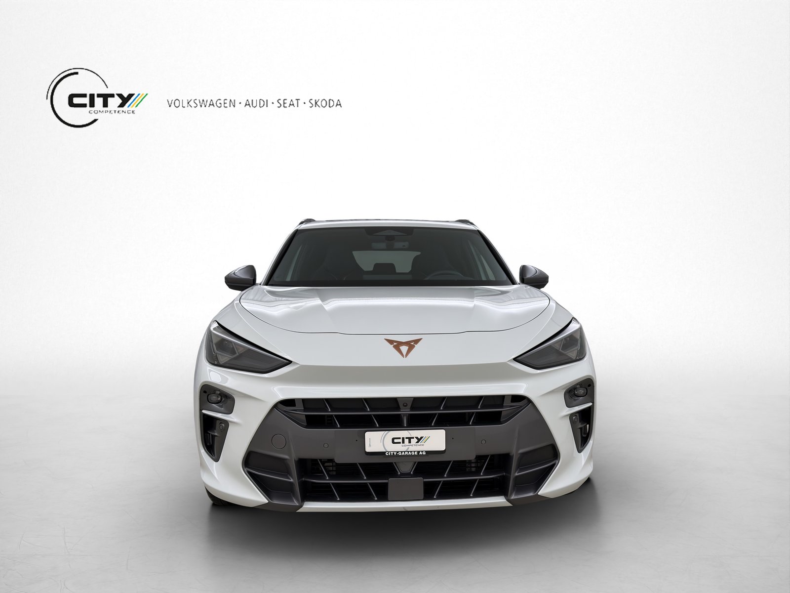CUPRA Terramar 2.0 TSI VZ 4Drive DSG, Essence, Occasion / Utilisé, Automatique - 4
