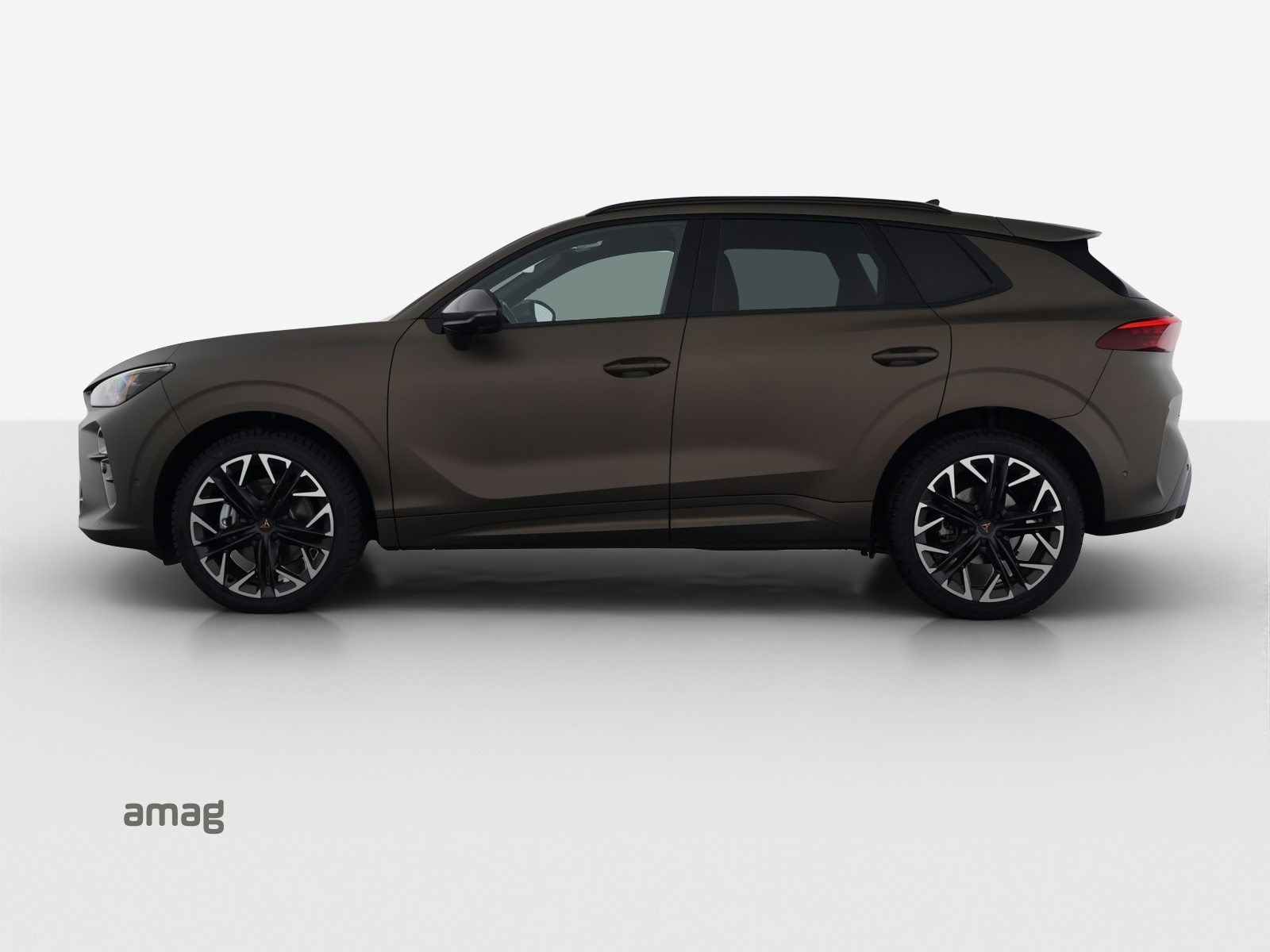 CUPRA TERRAMAR 4DRIVE, Benzina, Occasioni / Usate, Automatico - 2