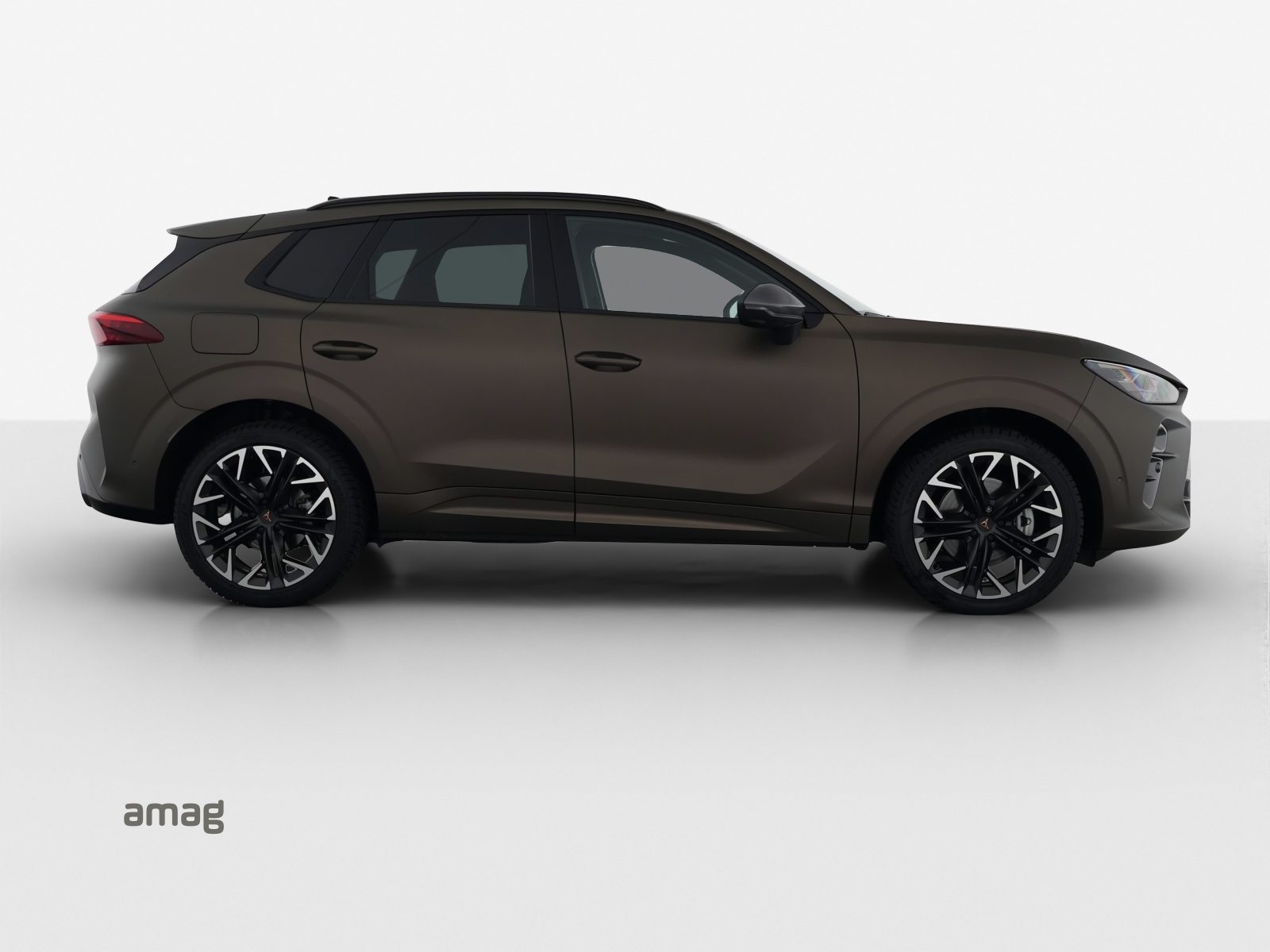 CUPRA TERRAMAR 4DRIVE, Benzina, Occasioni / Usate, Automatico - 5