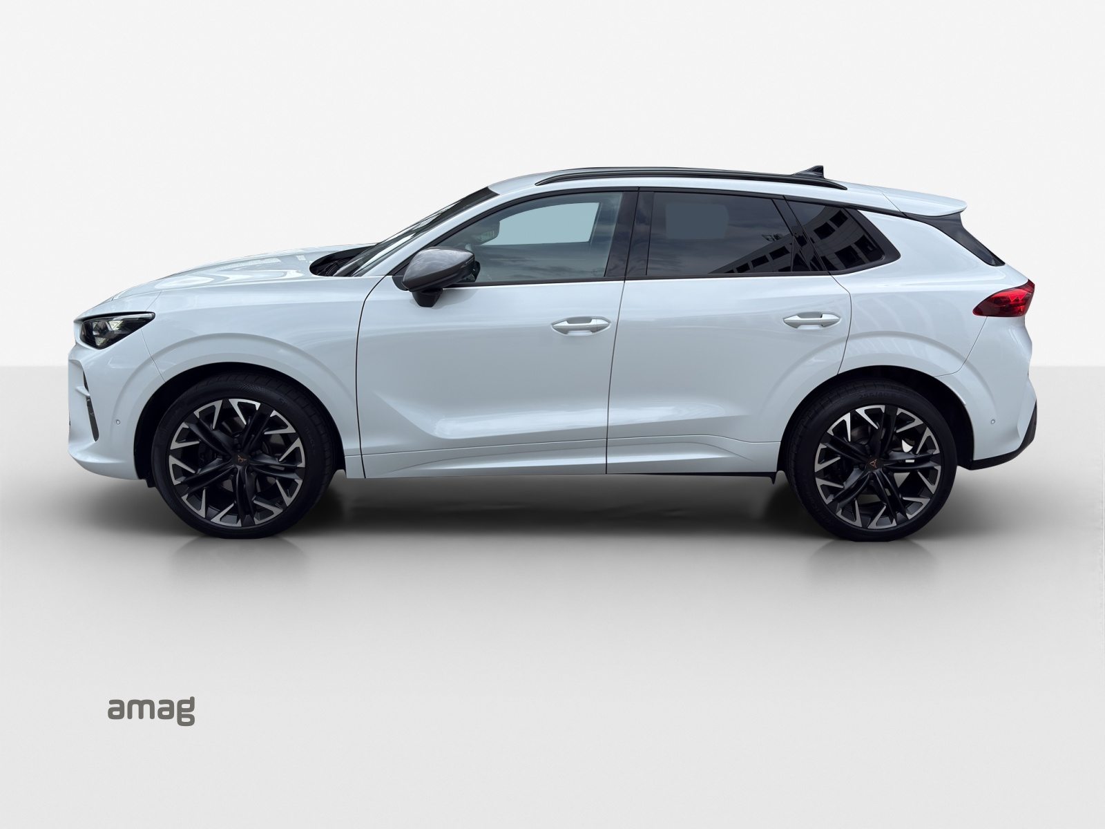 CUPRA TERRAMAR 4DRIVE, Benzin, Occasion / Gebraucht, Automatik - 2