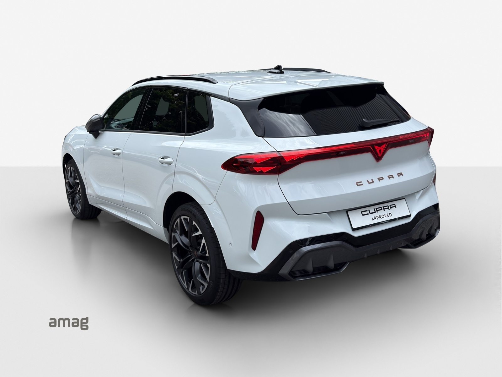 CUPRA TERRAMAR 4DRIVE, Benzin, Occasion / Gebraucht, Automatik - 3
