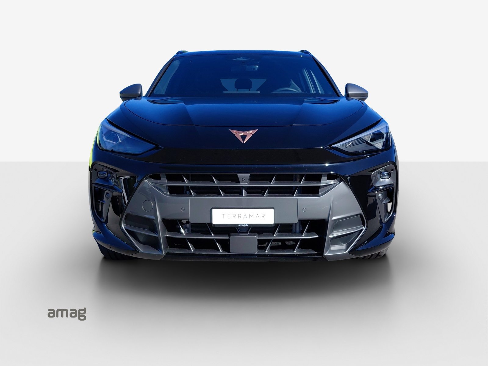 CUPRA TERRAMAR e-HYBRID PRIME EDITION, Voll-Hybrid Benzin/Elektro, Occasion / Gebraucht, Automatik - 7