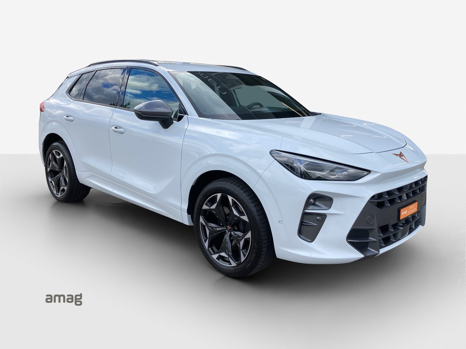 CUPRA TERRAMAR e-HYBRID, Hybride Integrale Benzina/Elettrica, Occasioni / Usate, Automatico - 6
