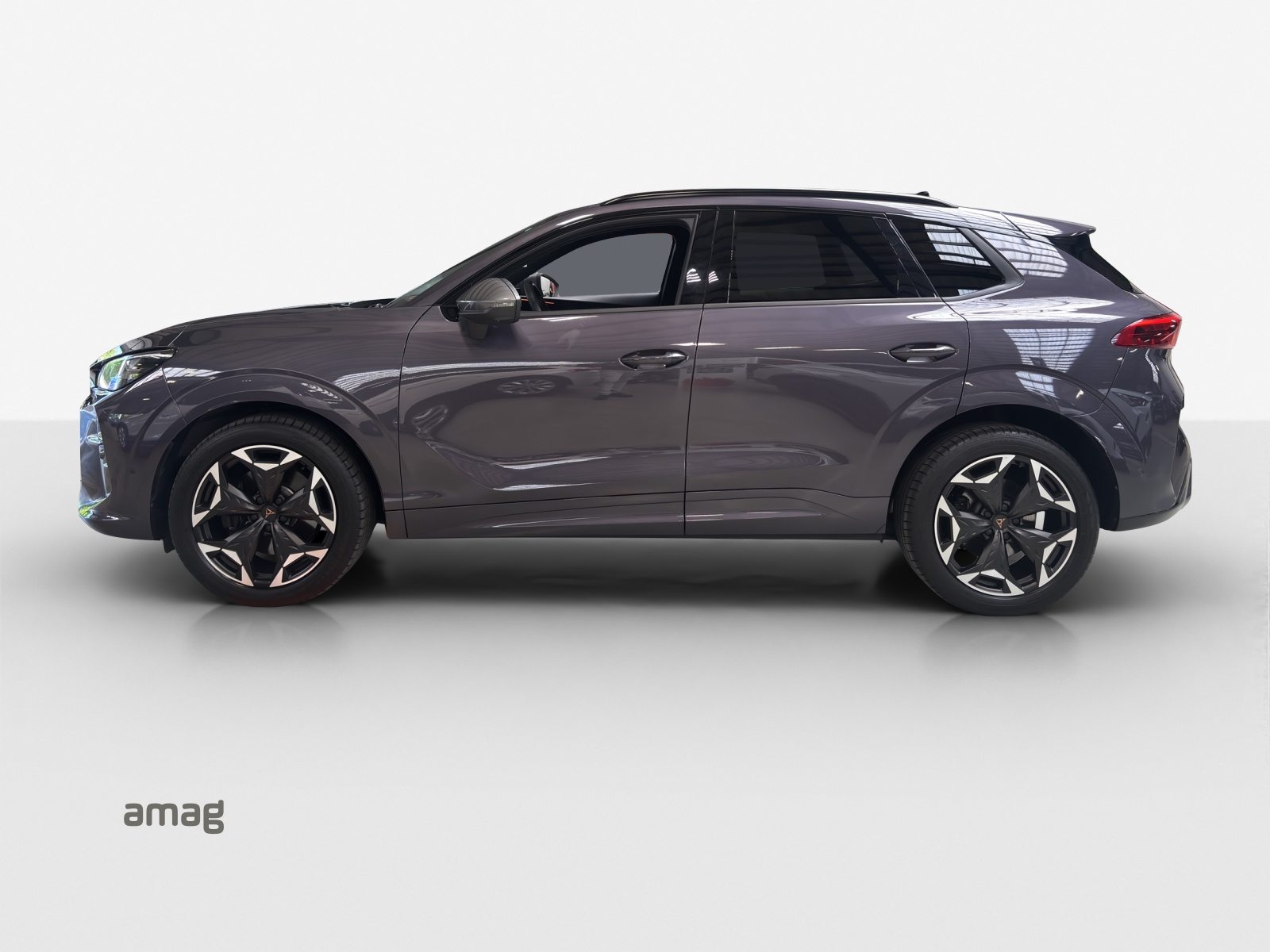 CUPRA TERRAMAR 4DRIVE, Benzin, Occasion / Gebraucht, Automatik - 2