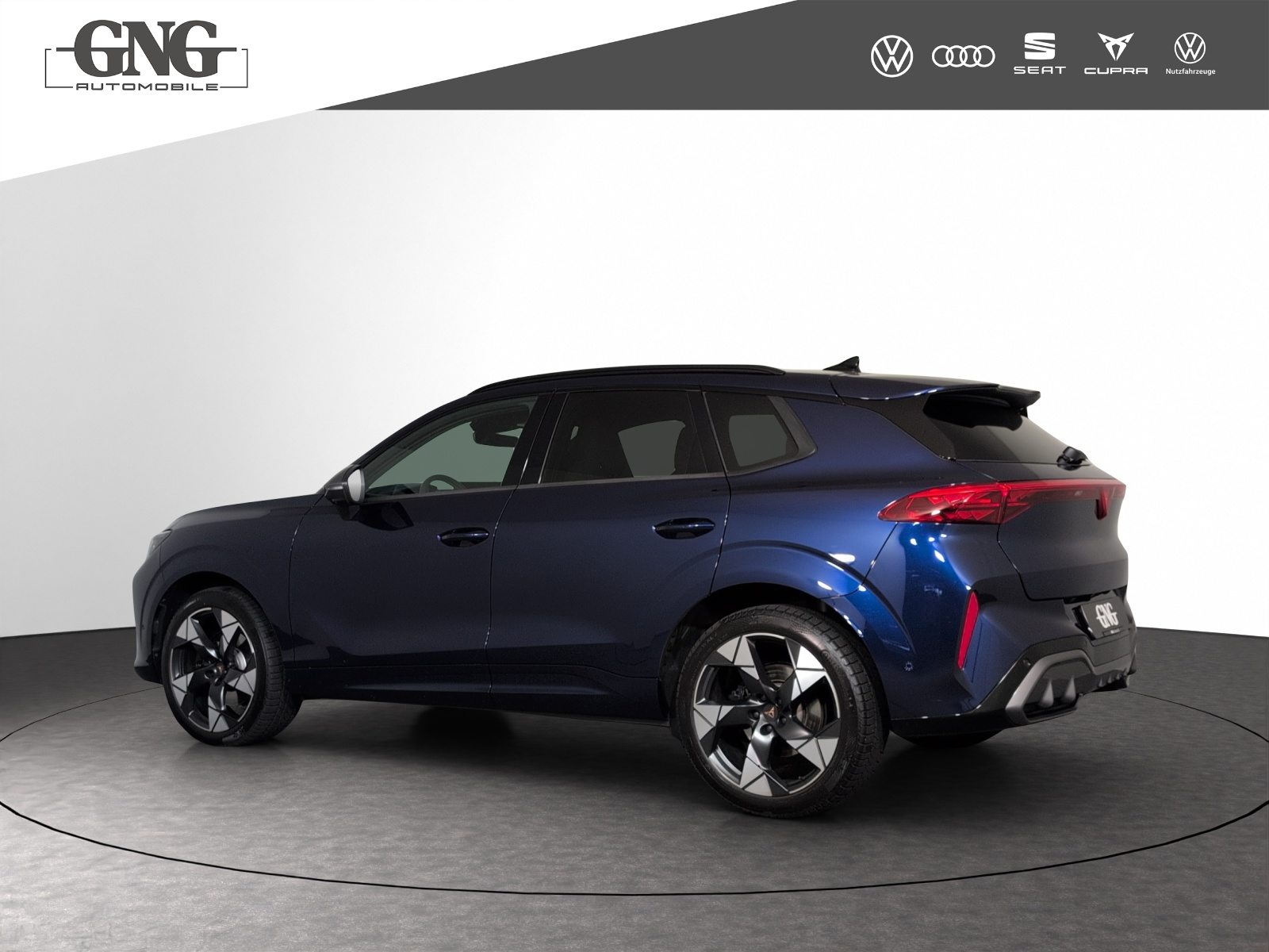 CUPRA TERRAMAR 4DRIVE, Benzina, Occasioni / Usate, Automatico - 2