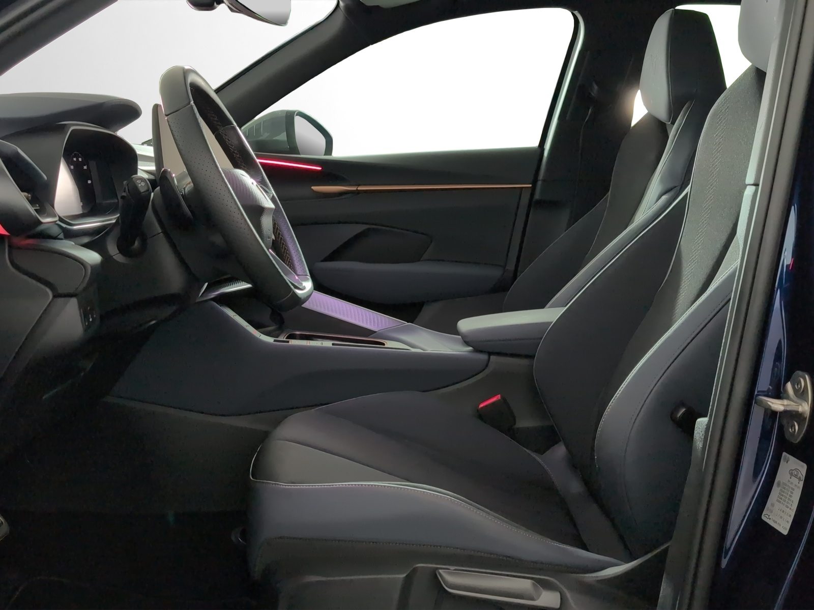 CUPRA TERRAMAR 4DRIVE, Benzina, Occasioni / Usate, Automatico - 6