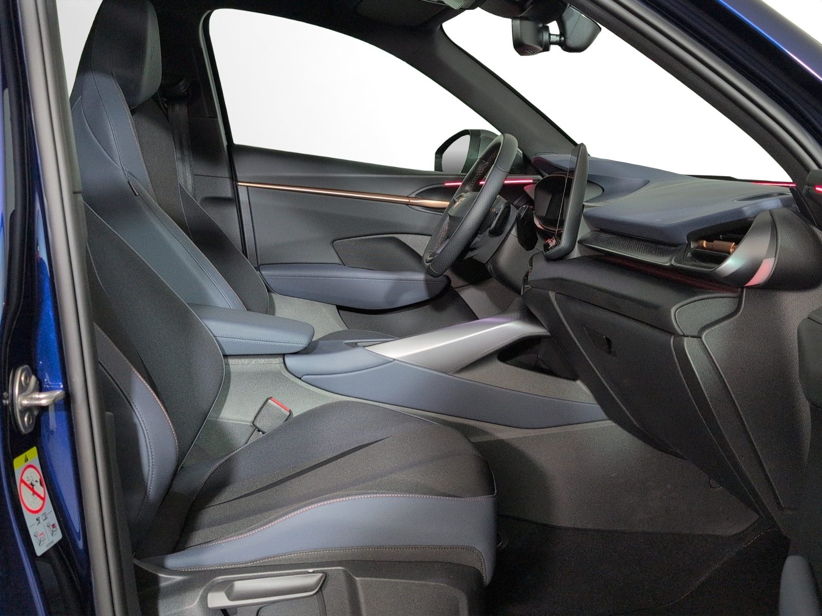 CUPRA TERRAMAR 4DRIVE, Benzina, Occasioni / Usate, Automatico - 7