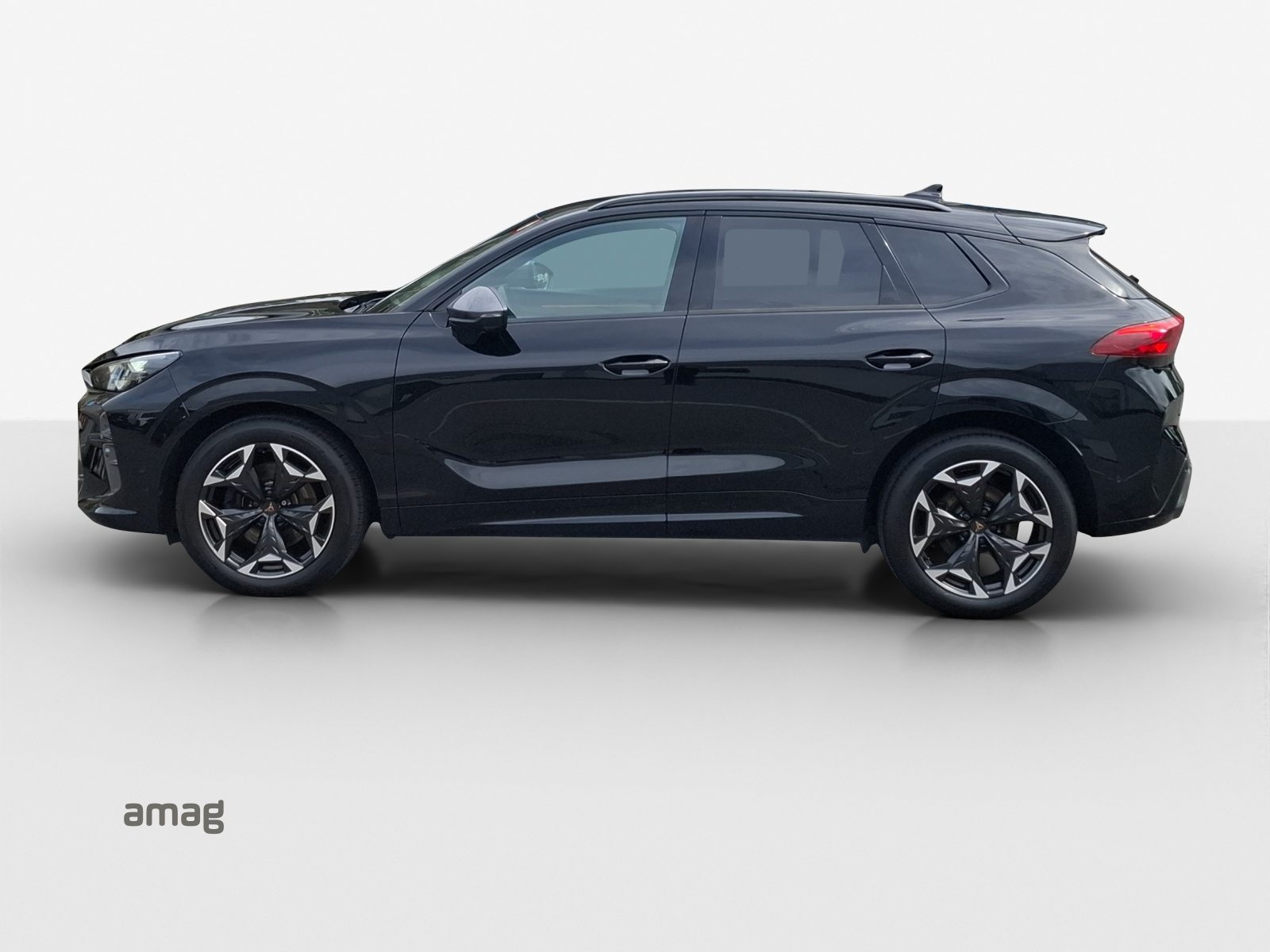 CUPRA TERRAMAR 4DRIVE, Benzina, Occasioni / Usate, Automatico - 2
