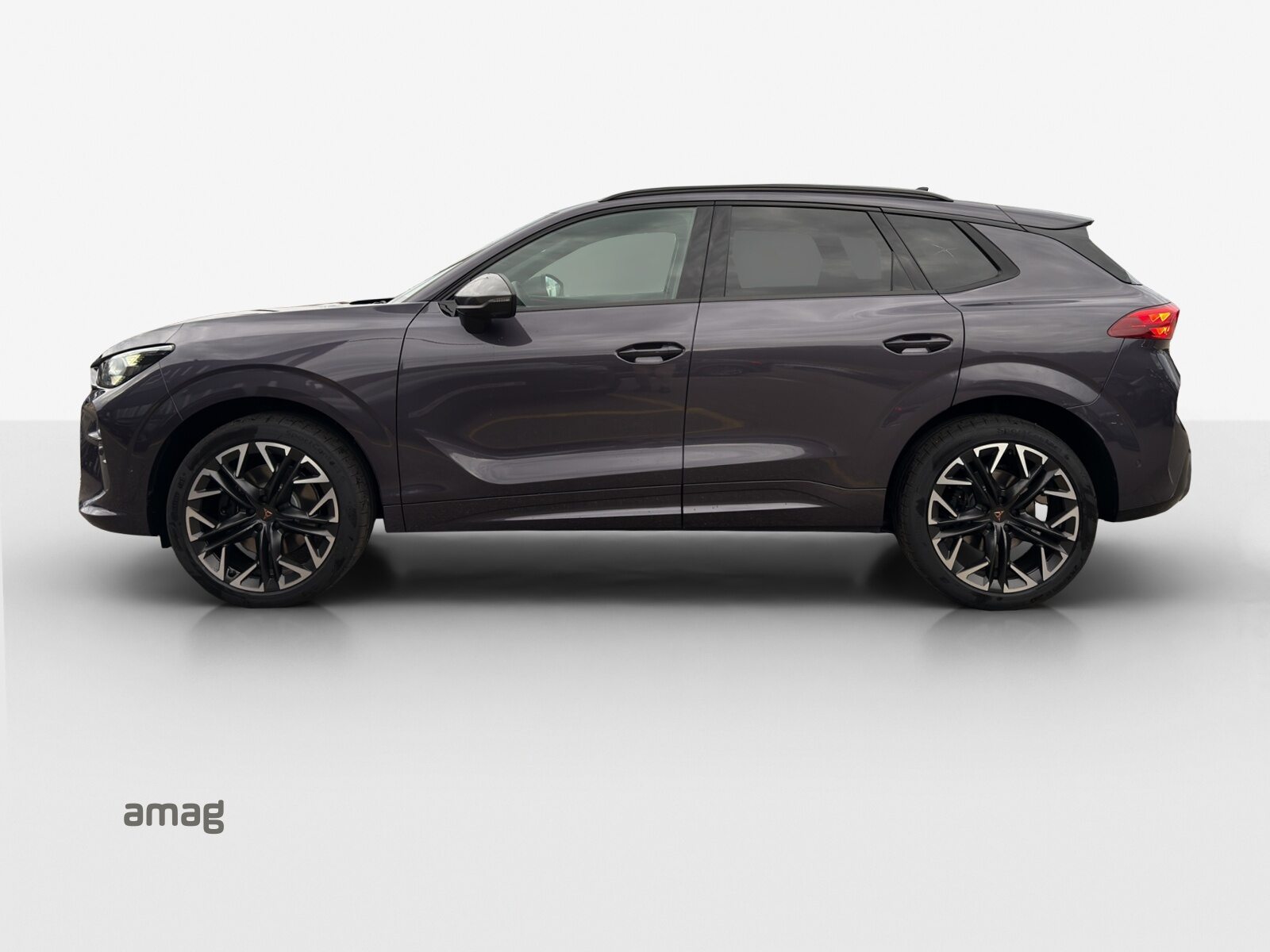 CUPRA TERRAMAR 4DRIVE, Benzina, Occasioni / Usate, Automatico - 2