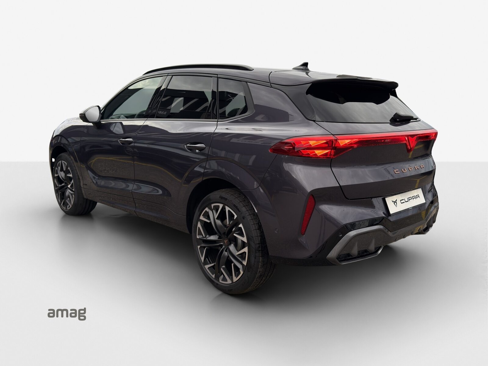 CUPRA TERRAMAR 4DRIVE, Benzina, Occasioni / Usate, Automatico - 3