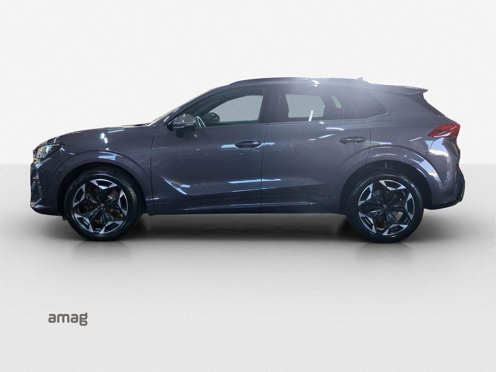CUPRA TERRAMAR 4DRIVE, Benzina, Occasioni / Usate, Automatico - 2