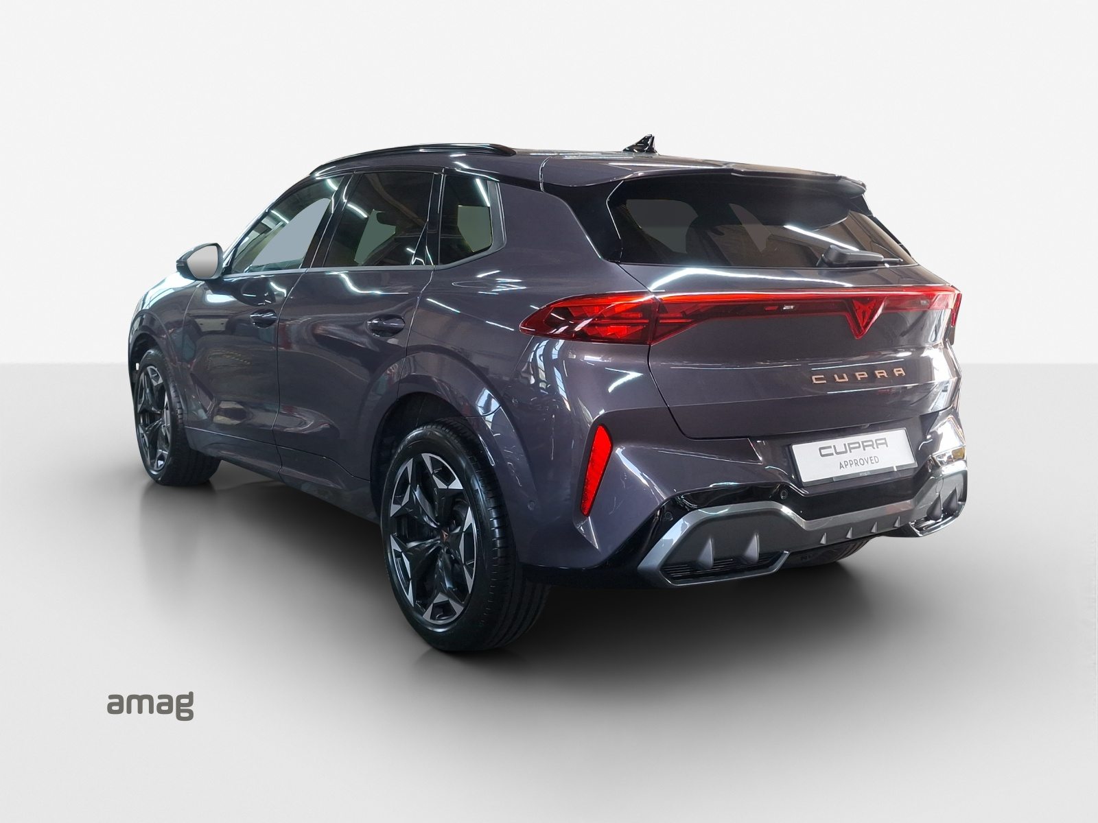 CUPRA TERRAMAR 4DRIVE, Benzina, Occasioni / Usate, Automatico - 3