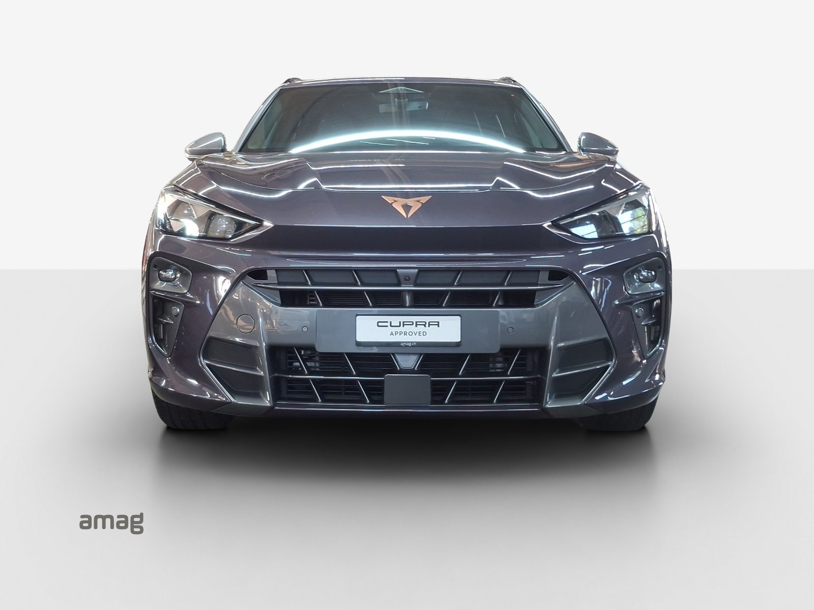 CUPRA TERRAMAR 4DRIVE, Benzina, Occasioni / Usate, Automatico - 6