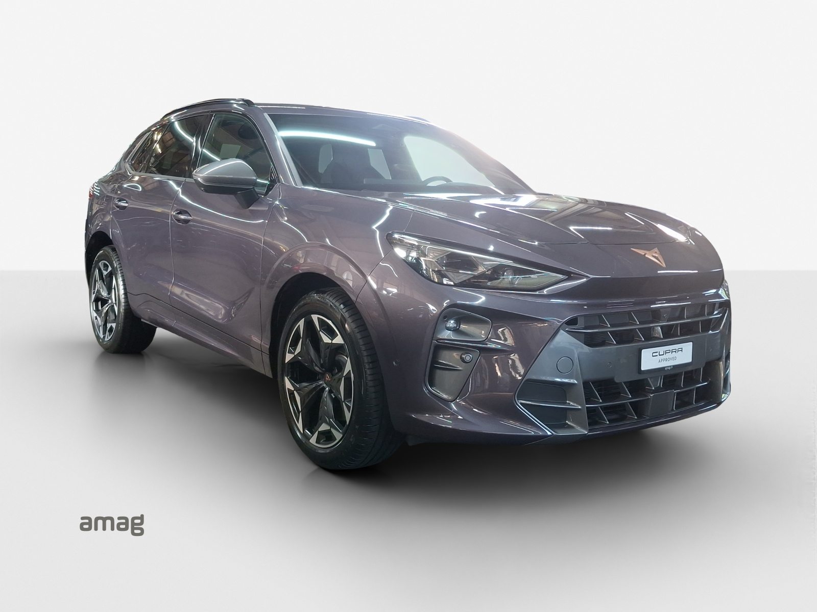CUPRA TERRAMAR 4DRIVE, Benzina, Occasioni / Usate, Automatico - 7