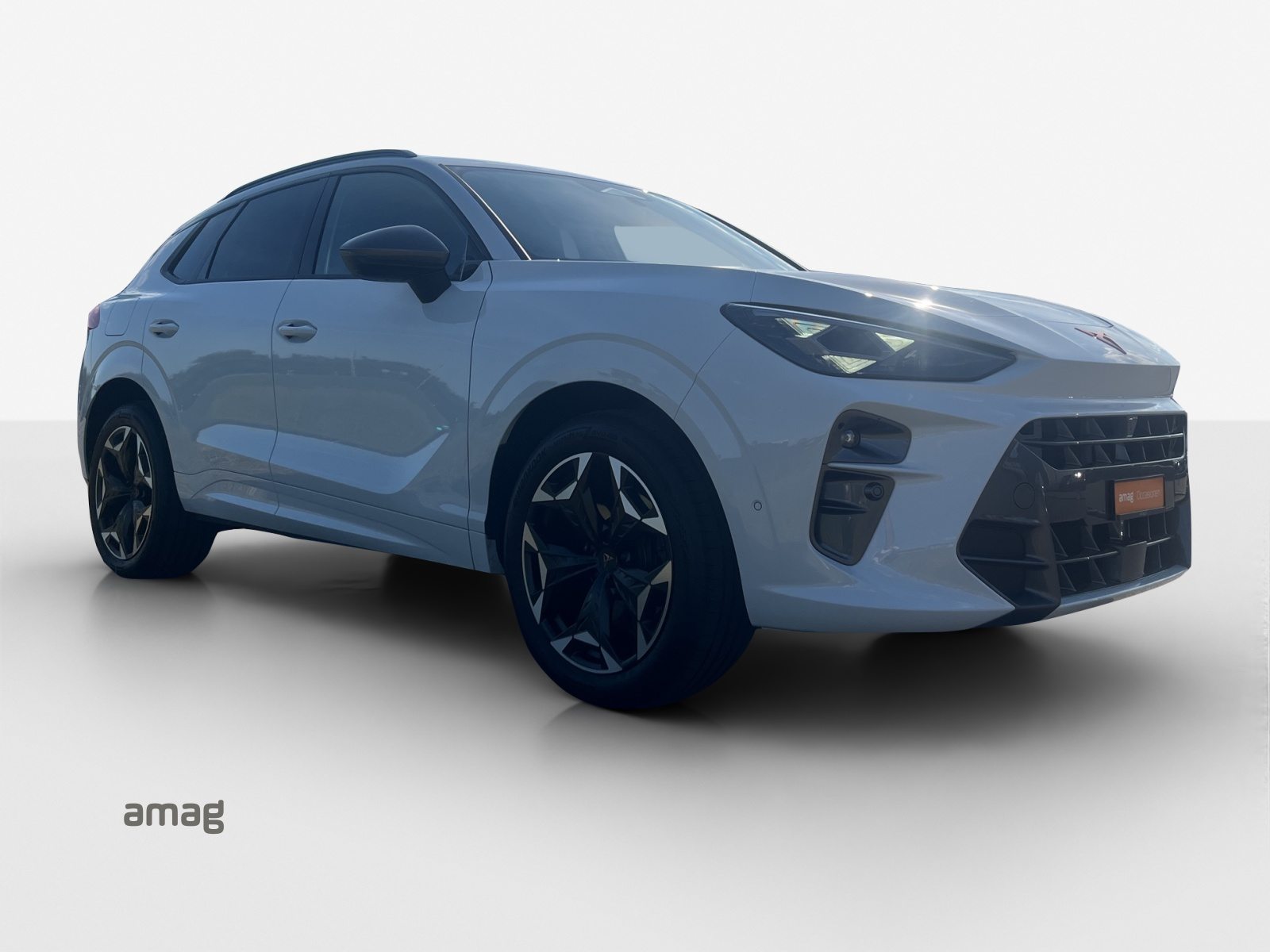CUPRA TERRAMAR e-HYBRID, Hybride Integrale Benzina/Elettrica, Occasioni / Usate, Automatico - 7