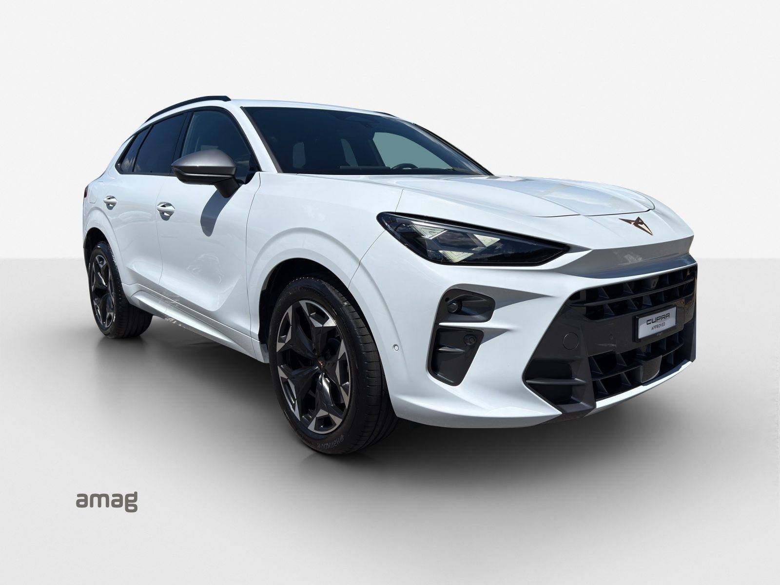 CUPRA TERRAMAR e-HYBRID, Voll-Hybrid Benzin/Elektro, Occasion / Gebraucht, Automatik - 6