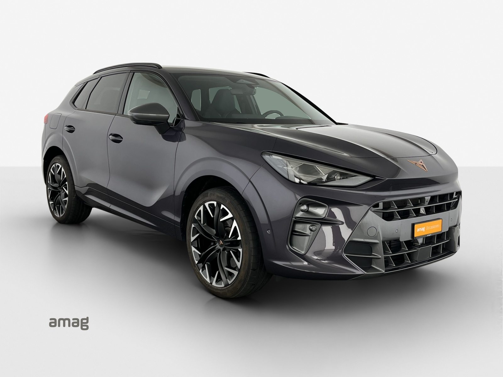 CUPRA TERRAMAR 4DRIVE, Essence, Occasion / Utilisé, Automatique - 6