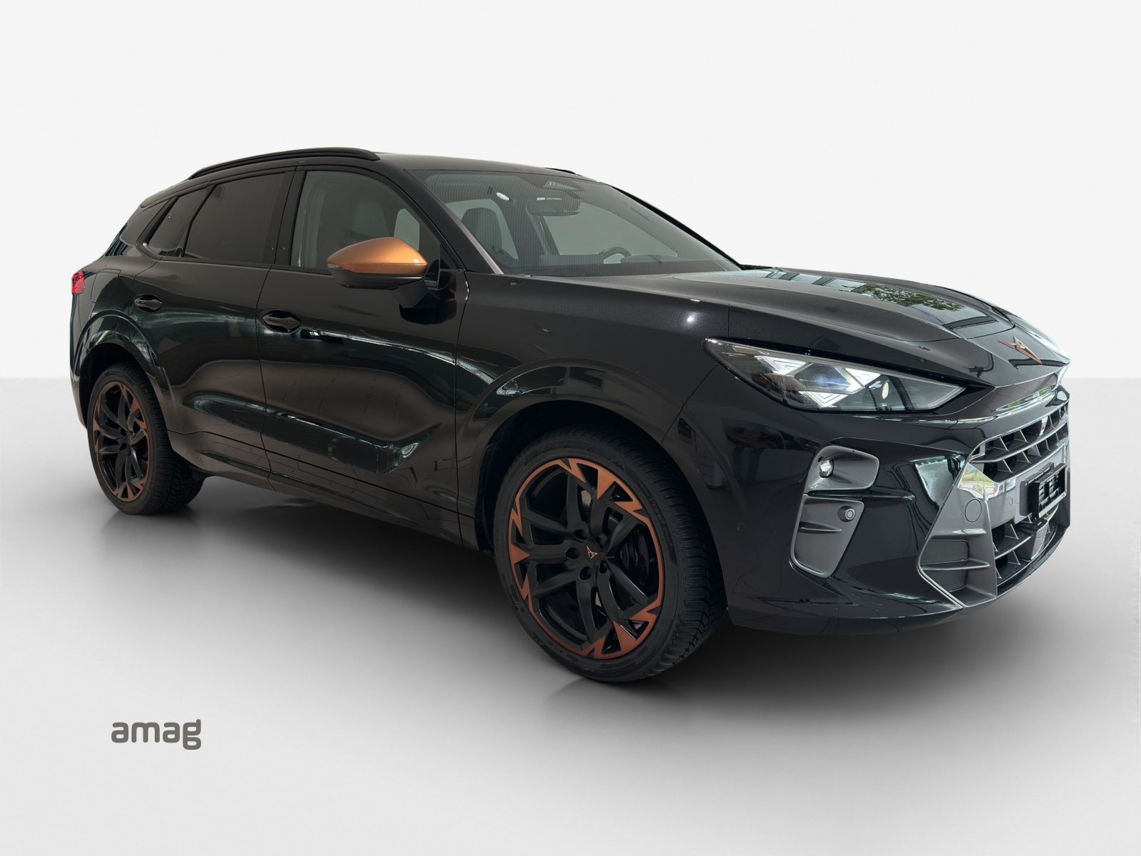 CUPRA TERRAMAR e-HYBRID, Hybride Integrale Benzina/Elettrica, Occasioni / Usate, Automatico - 2