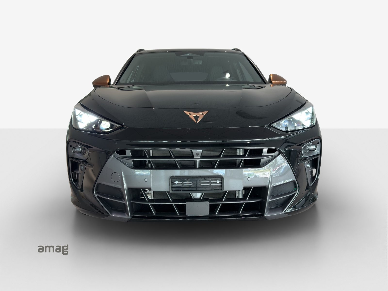 CUPRA TERRAMAR e-HYBRID, Hybride Integrale Benzina/Elettrica, Occasioni / Usate, Automatico - 3