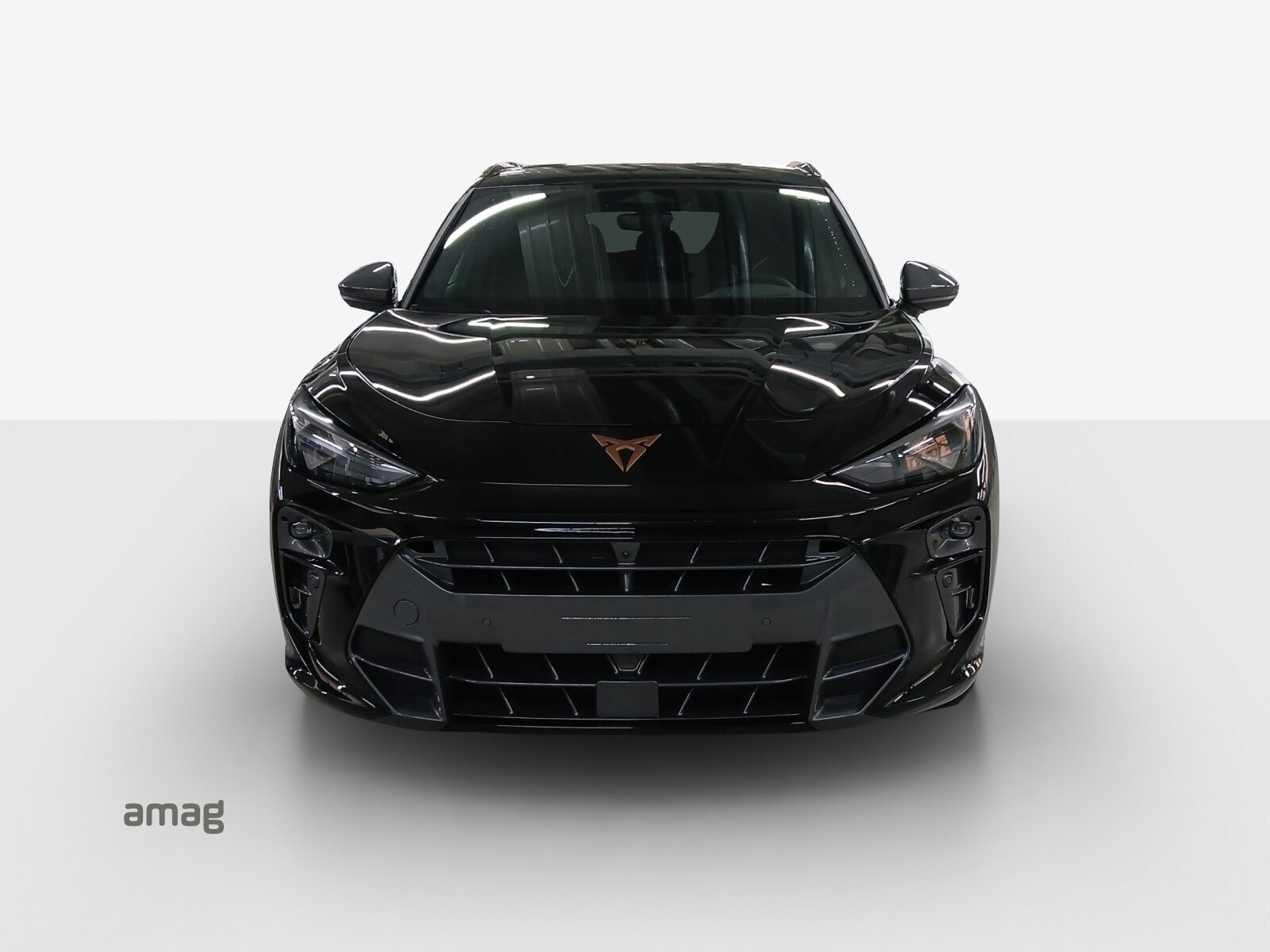 CUPRA TERRAMAR PRIME EDITION, Benzin, Occasion / Gebraucht, Automatik - 7