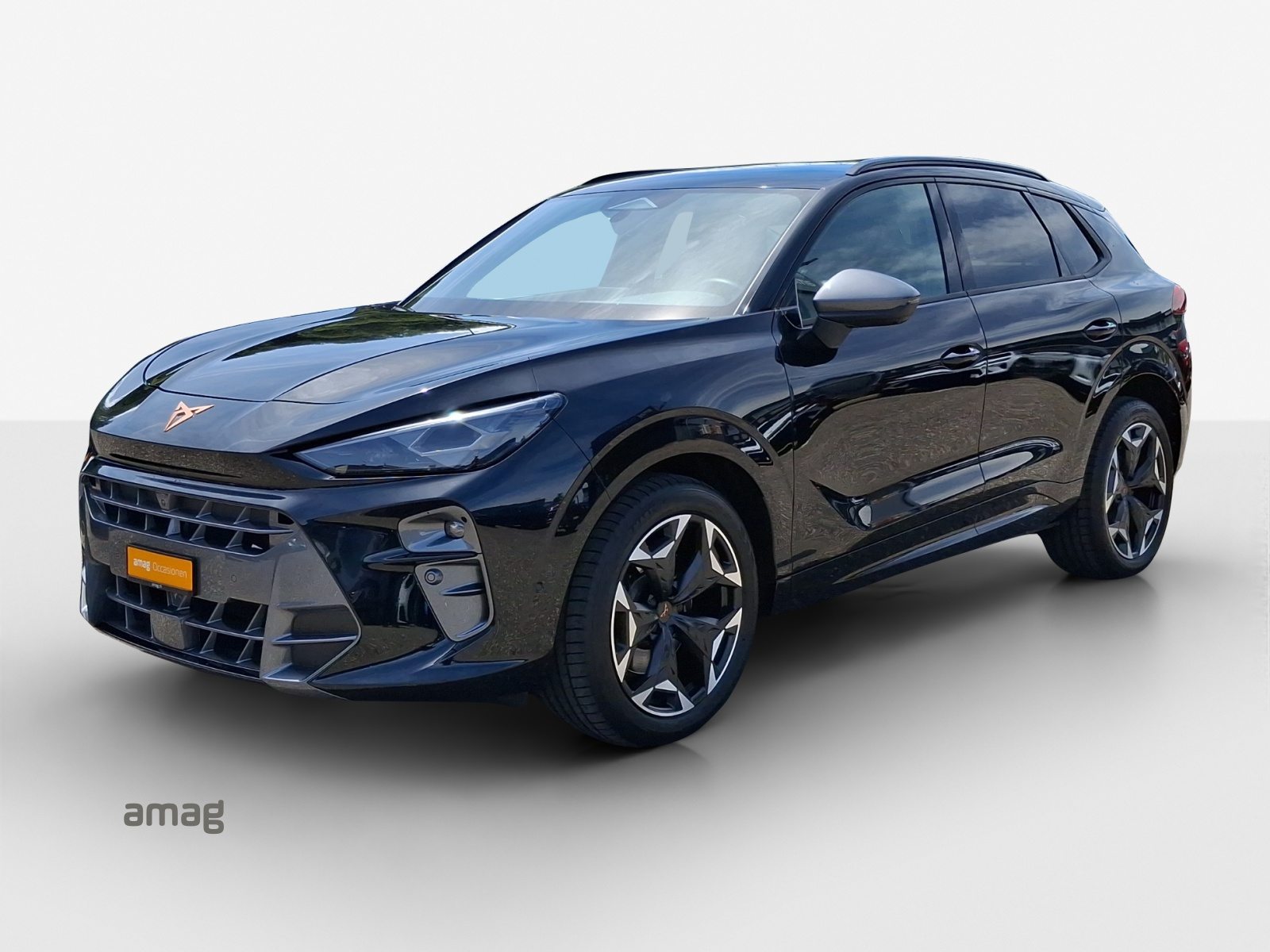 CUPRA TERRAMAR 4DRIVE, Benzina, Occasioni / Usate, Automatico - 2